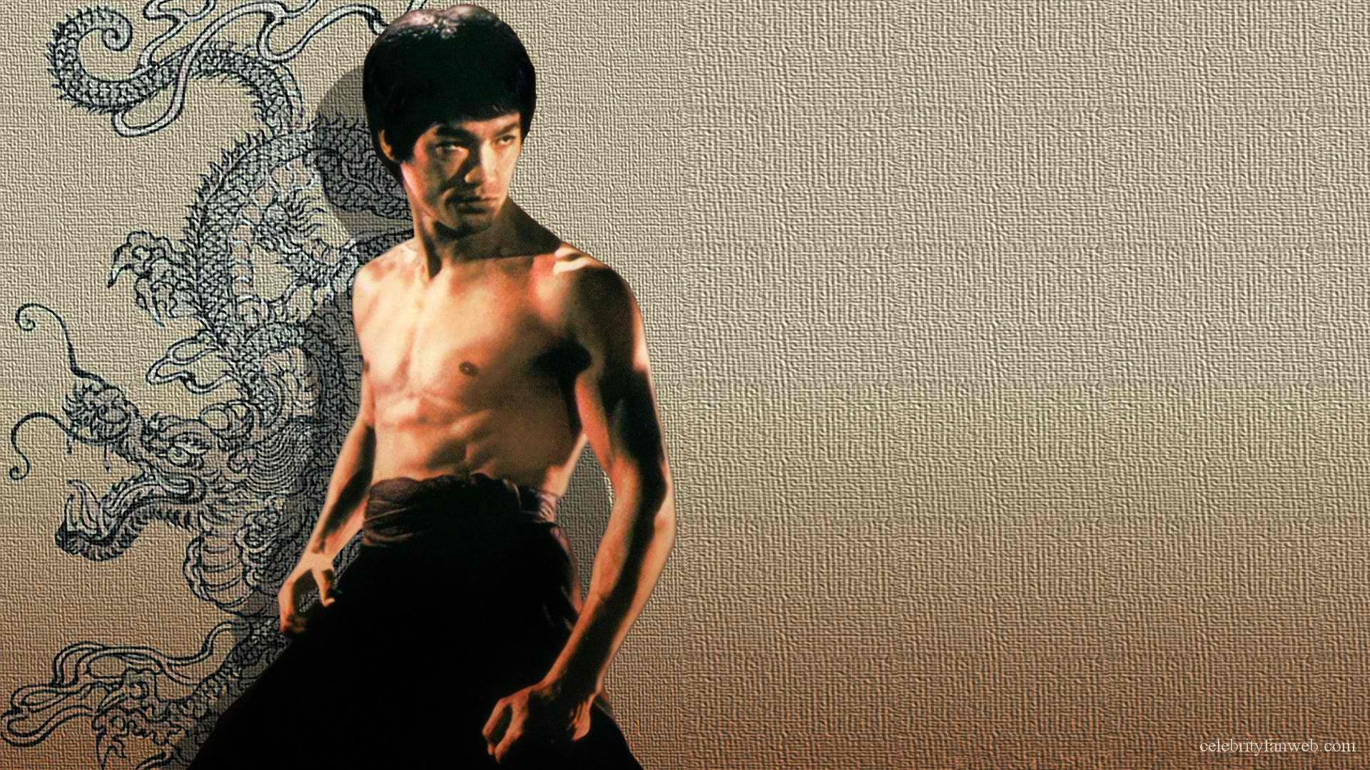 Bruce Lee, 武道の精神, 映画スター, HD壁紙