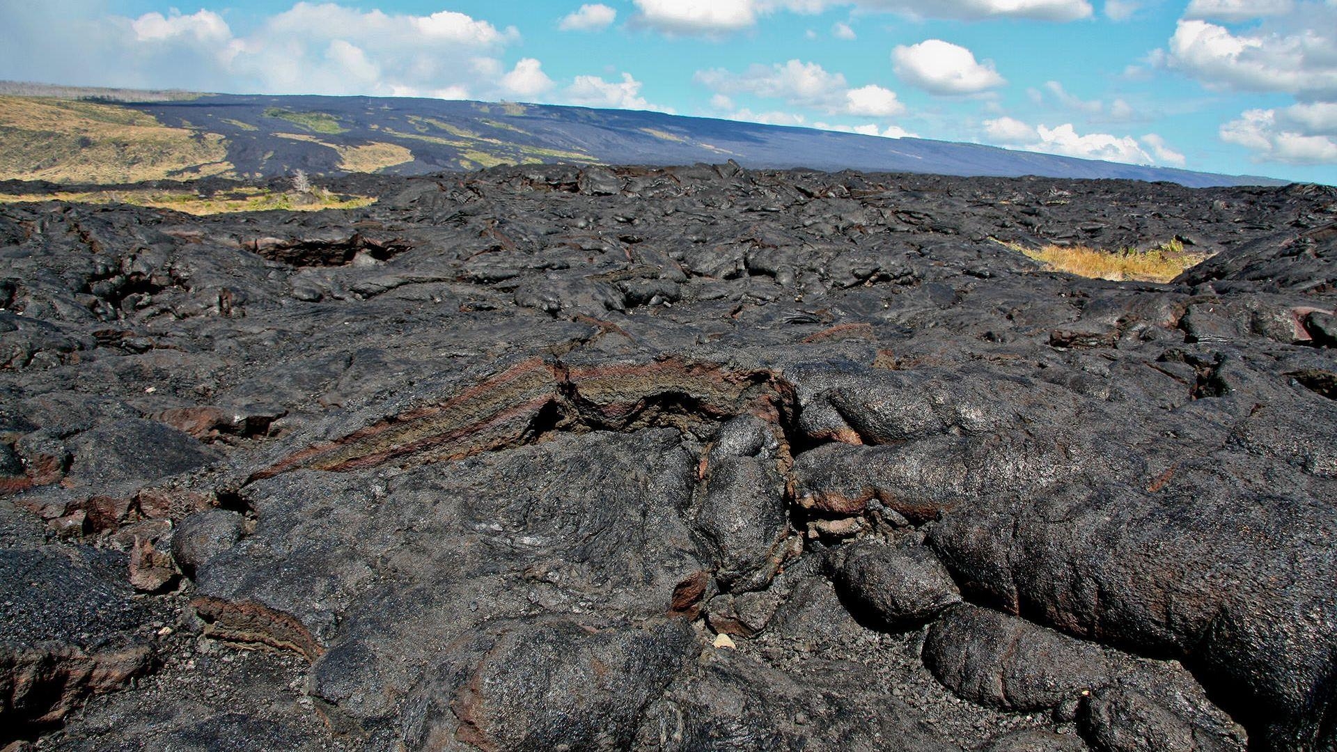 ハワイ火山国立公園, 財団, 自然保護, ハワイ