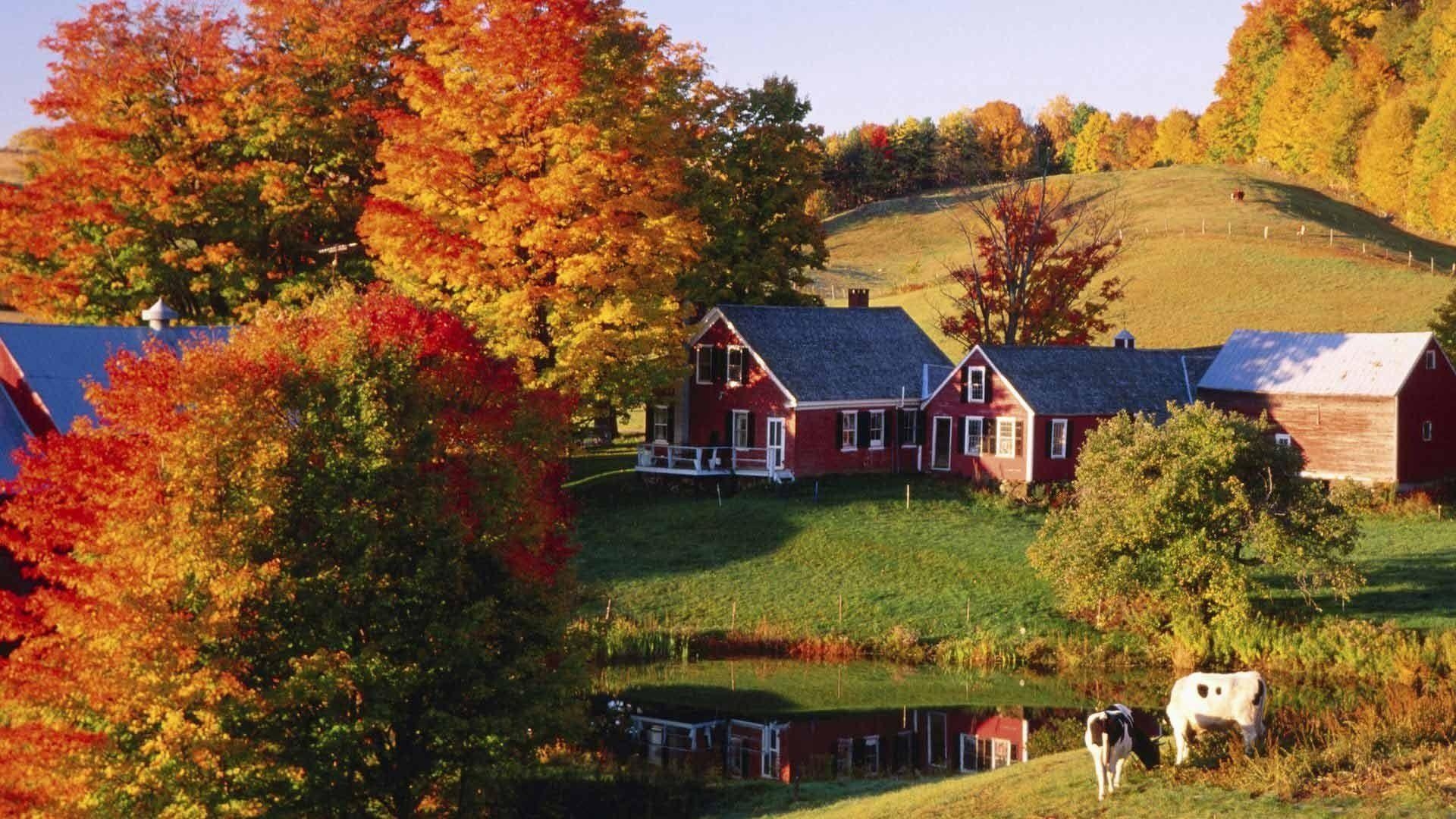 バーモントフォール、写真風景、四季、紅葉