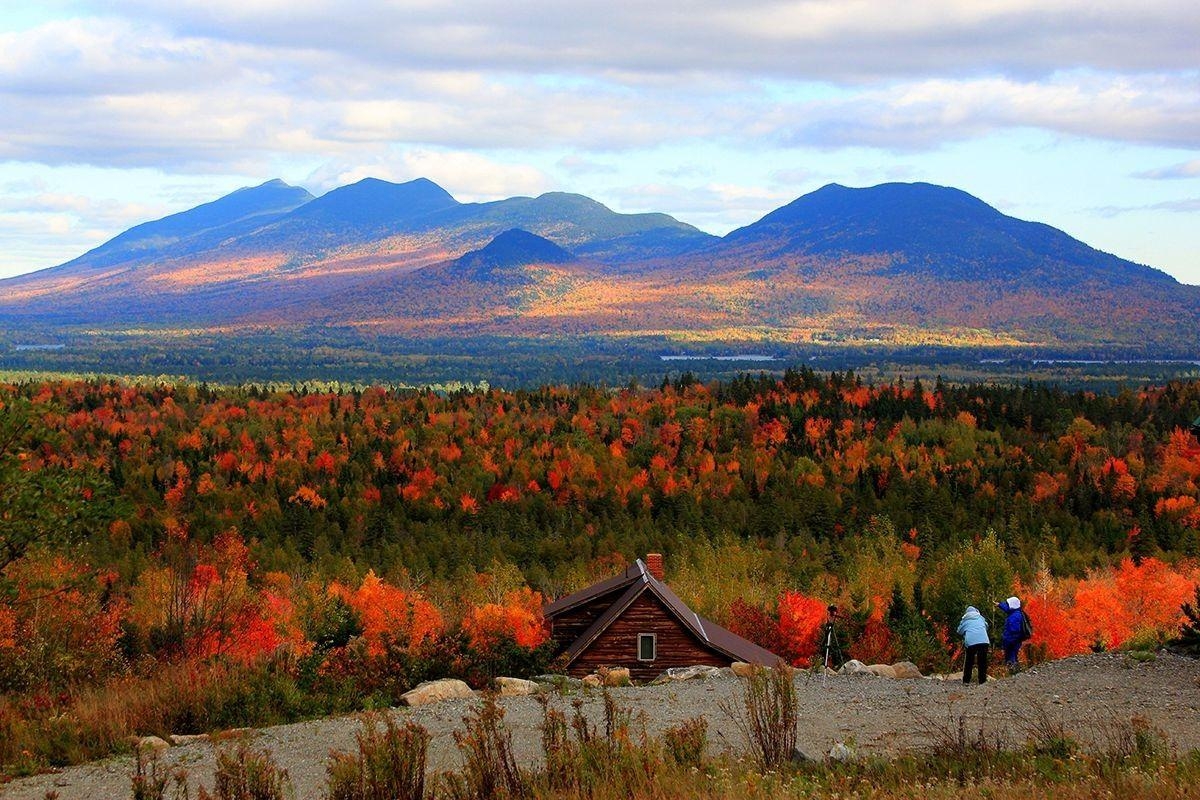 秋のメイン, 木々, アメリカ風景, コテージ