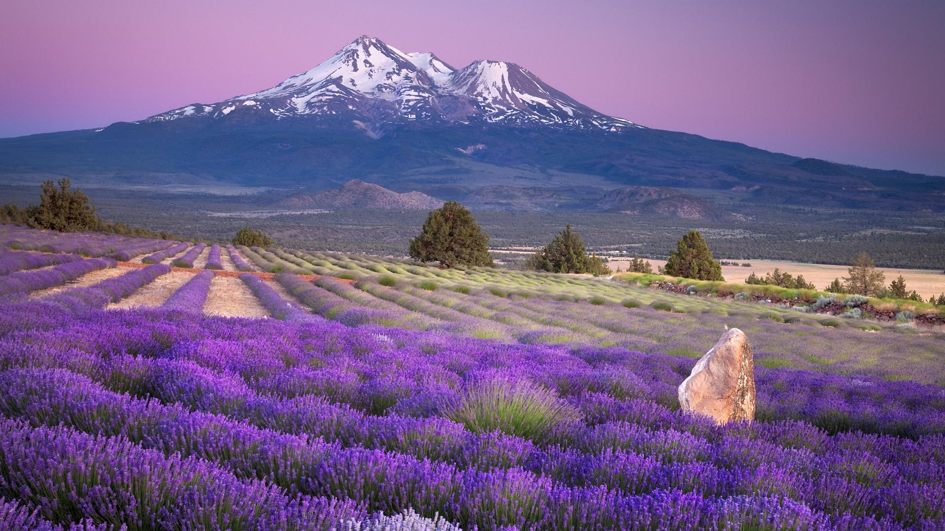 富士山, 壁紙, 日本, 絶景