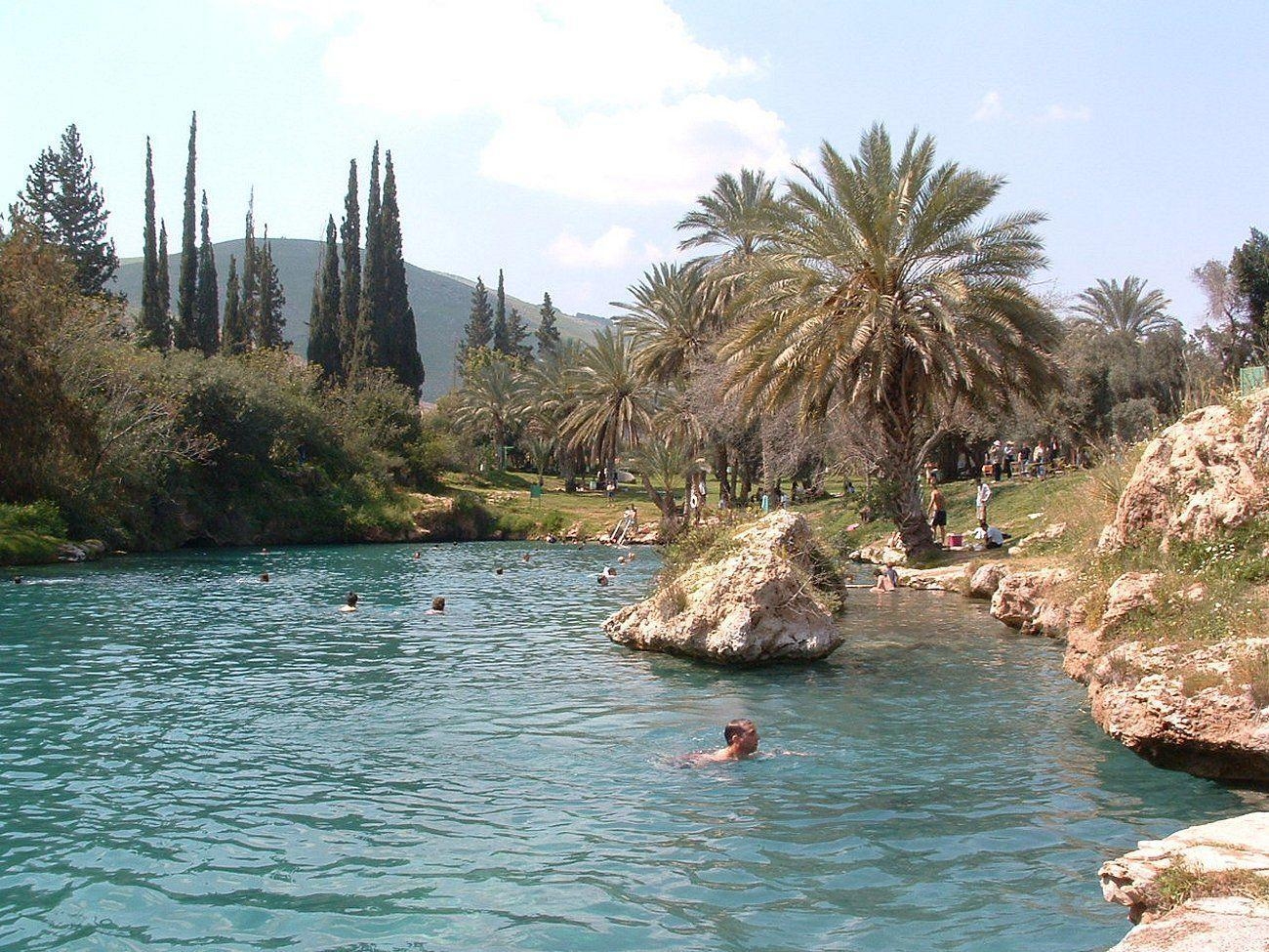 公園, イスラエル, 自然, 旅行記