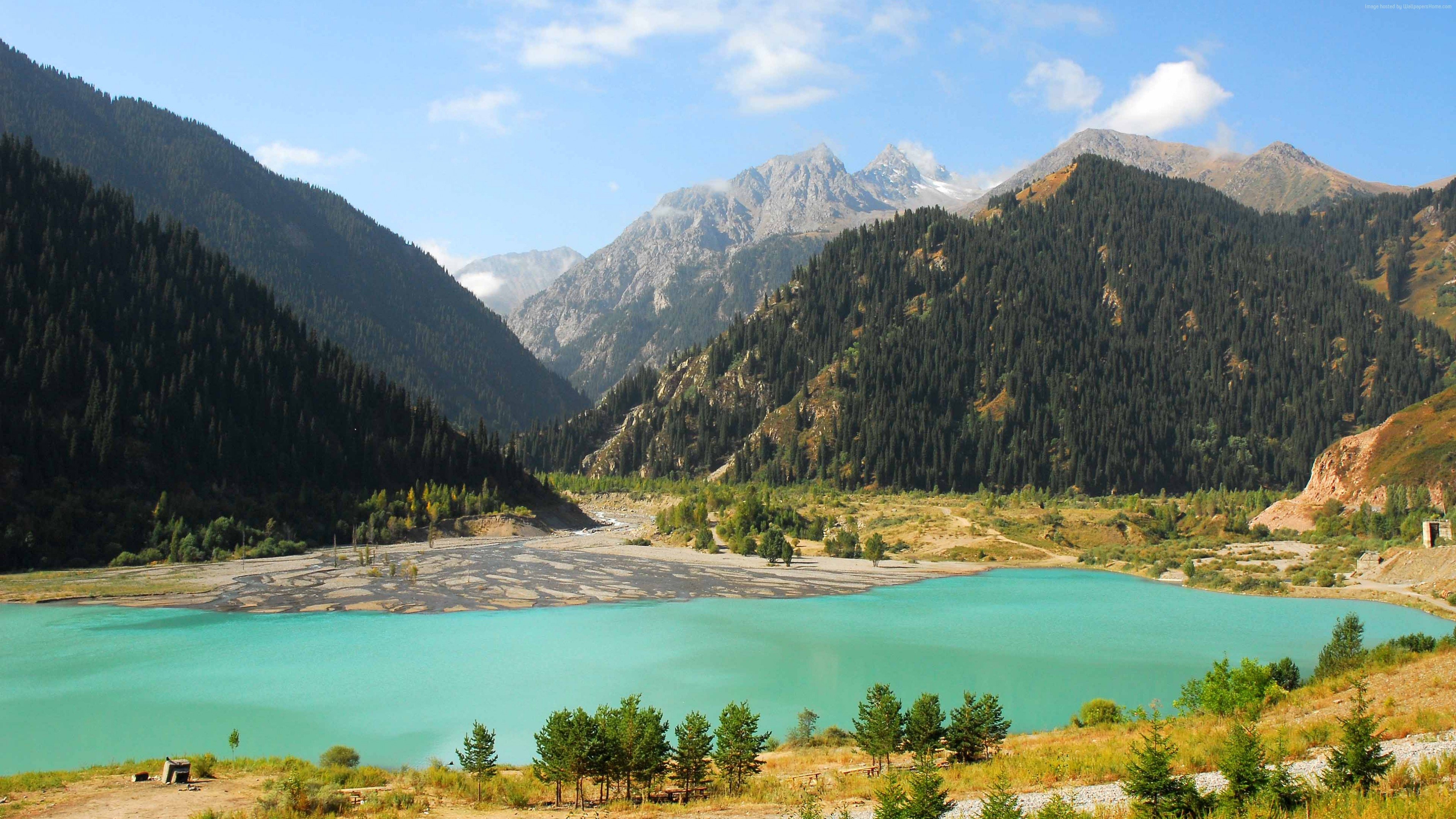 イシククル湖, 山岳森林, キルギス, 4K旅行壁紙