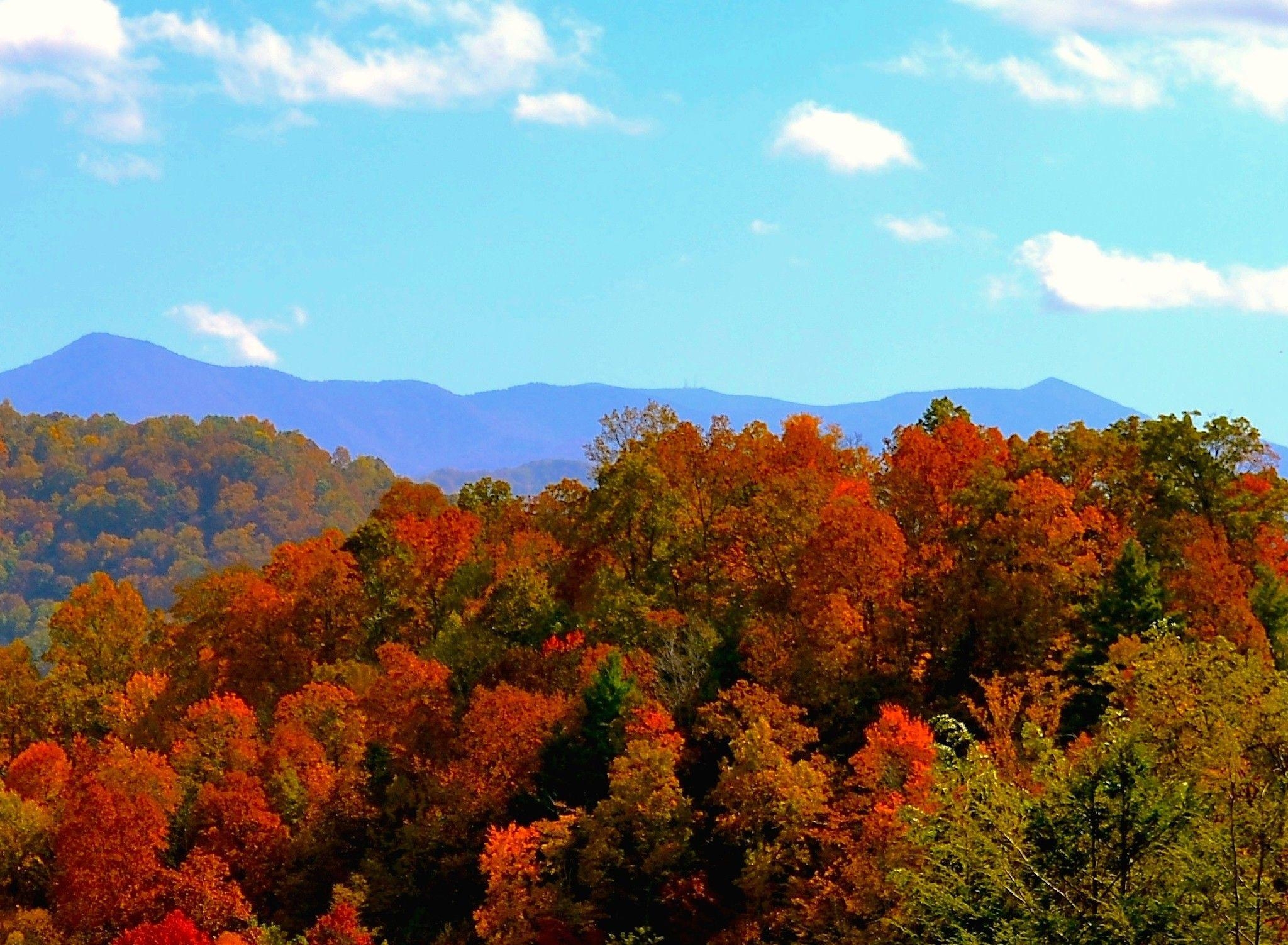 秋のNC山, 壁紙, 無料ダウンロード, 紅葉の景色