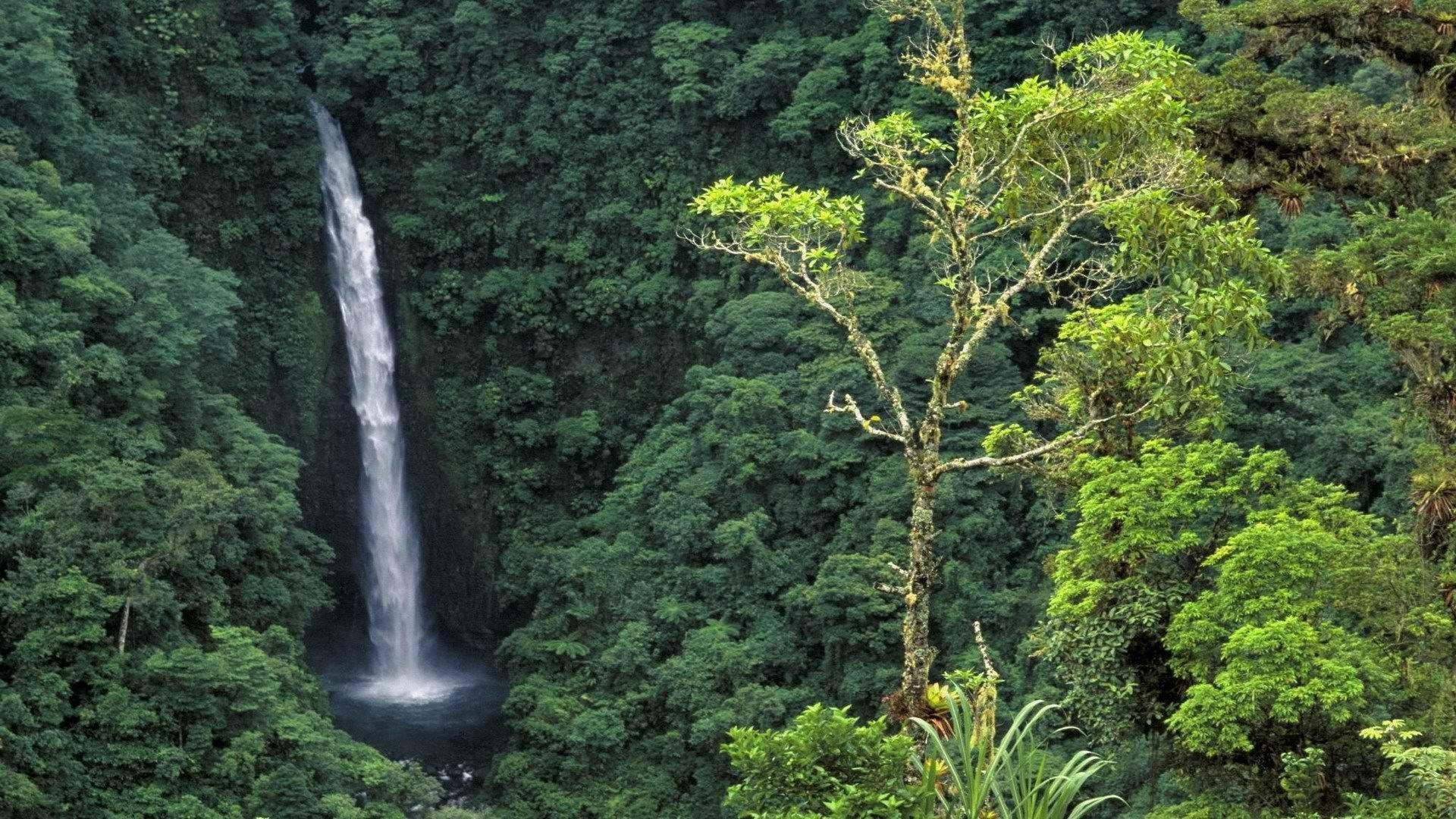 素敵なコスタリカHD壁紙, 無料ダウンロード, 風景, 自然