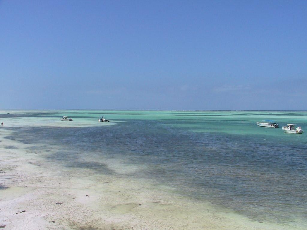 デスクトップ壁紙, ザンジバル, 海, 癒しの風景