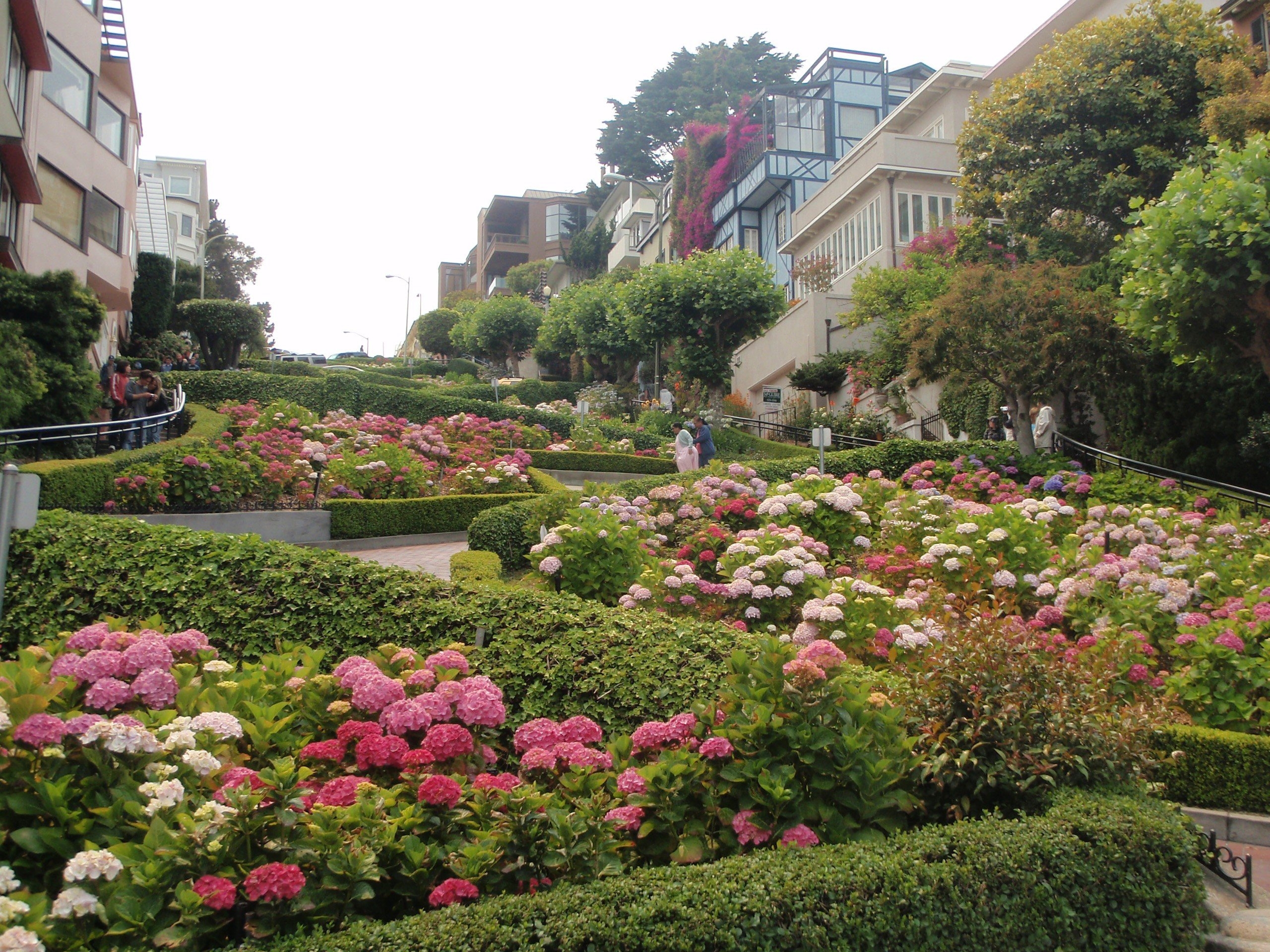 通り, 建築, 庭園, サンフランシスコ壁紙