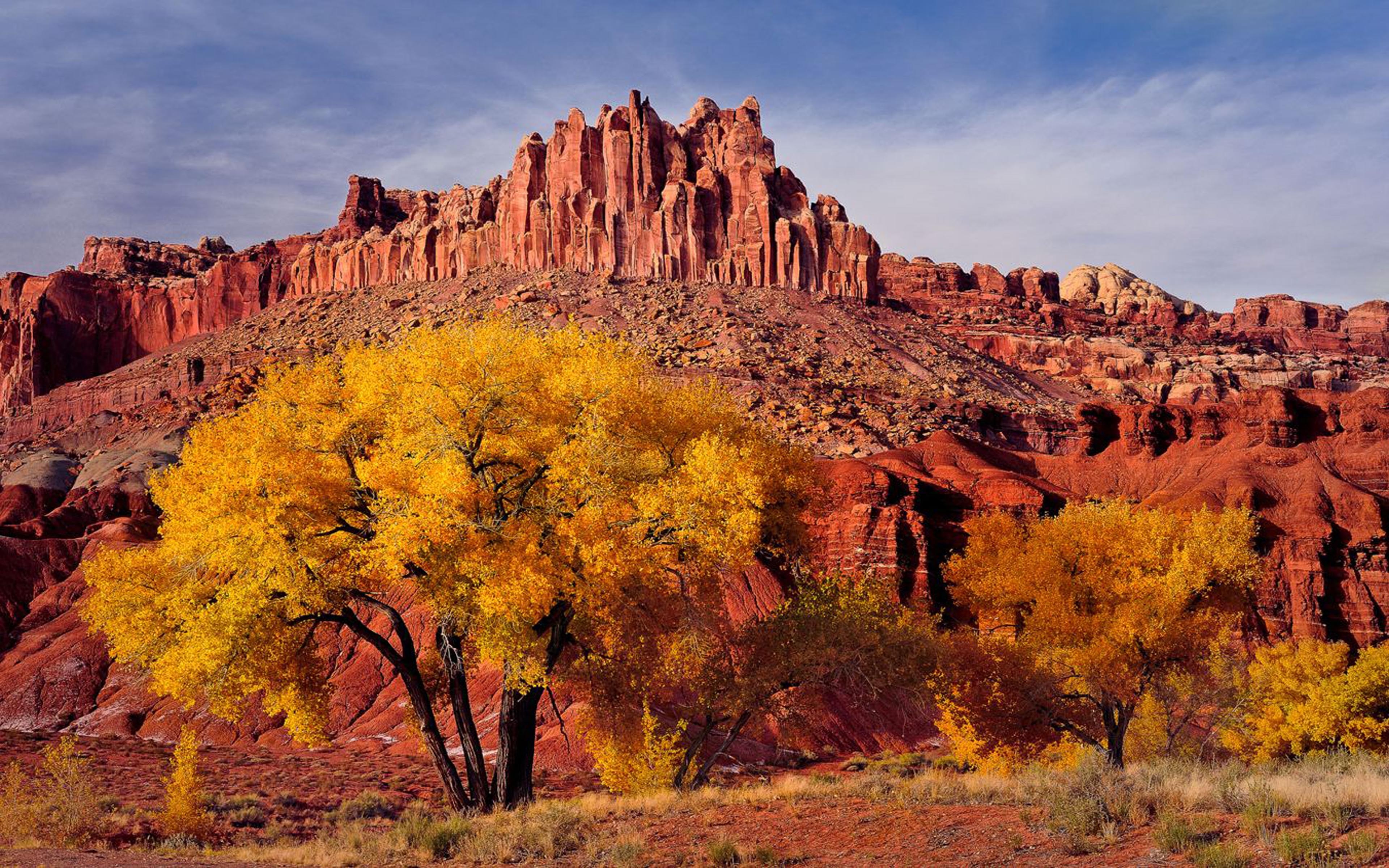 秋, 風景, ユタ, USA, デスクトップ壁紙