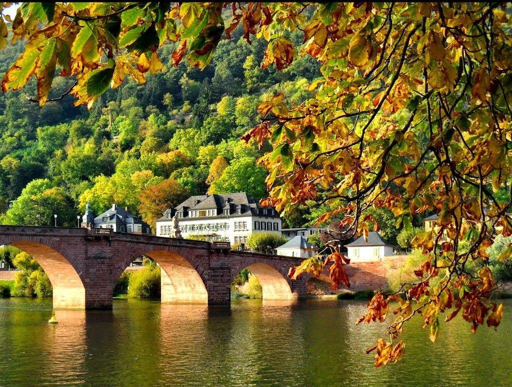 ハイデルベルク, 古橋, 紅葉, 湖の岸辺