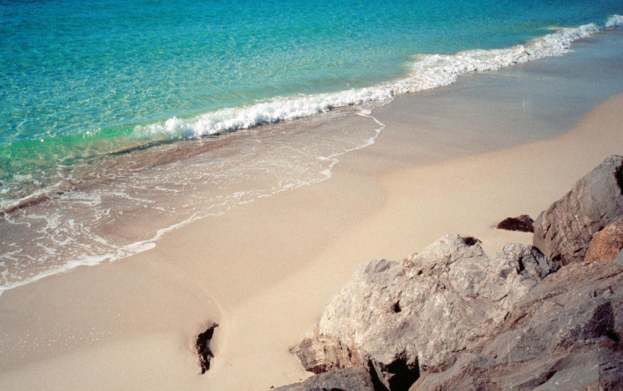 パナマシティの海岸, 壁紙, 海, ストック