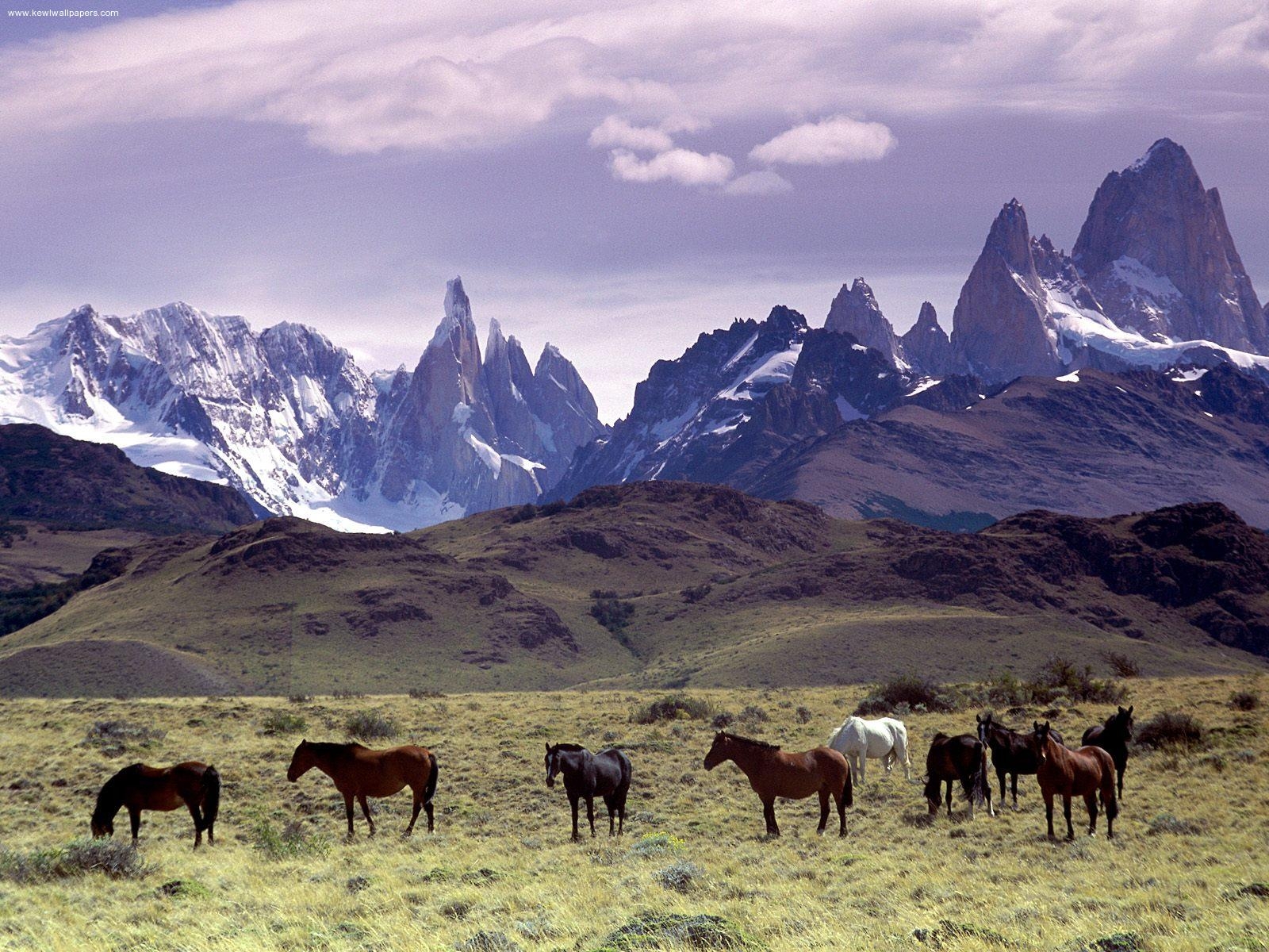 パタゴニア、自然、旅行、絶景