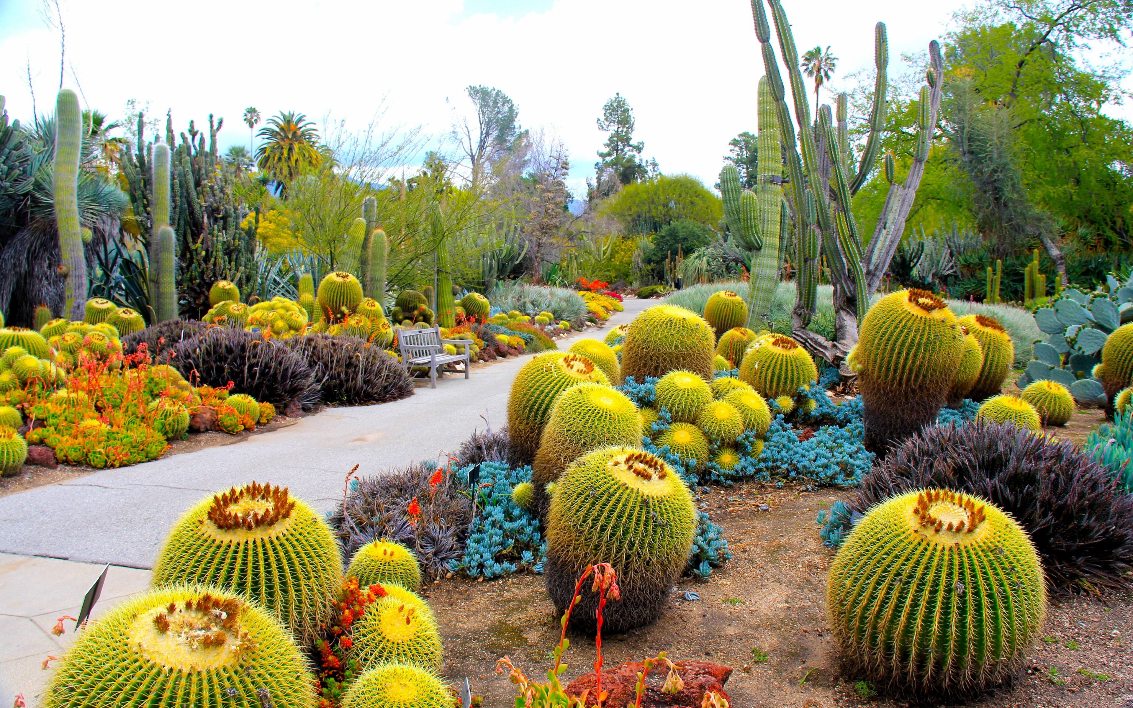 ダウンロード、サンマリノ植物園壁紙