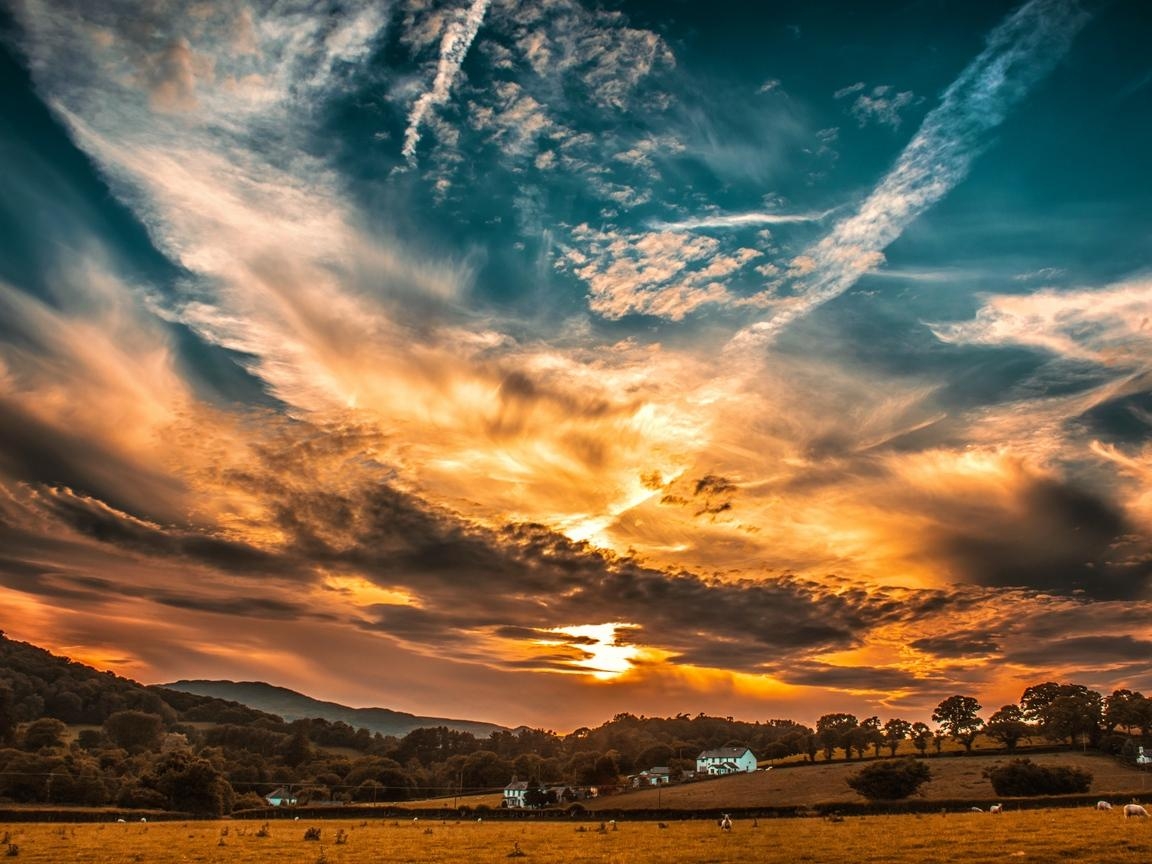 夕日, 空, 雲, フィールド, 木々