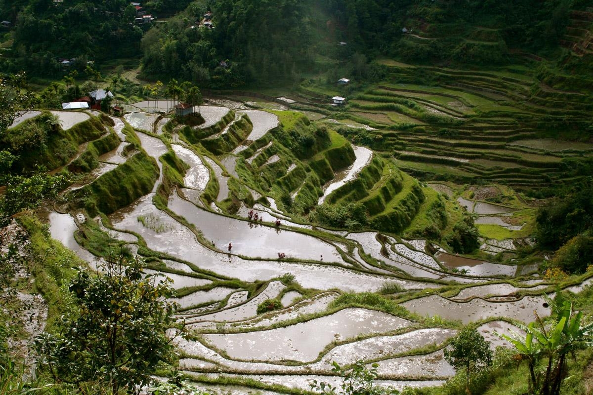 世界的名所, バナウエ棚田, 2000年, 山岳風景