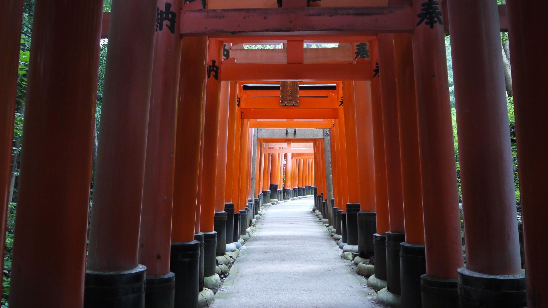 伏見稲荷大社, 京都, 神社, 旅行