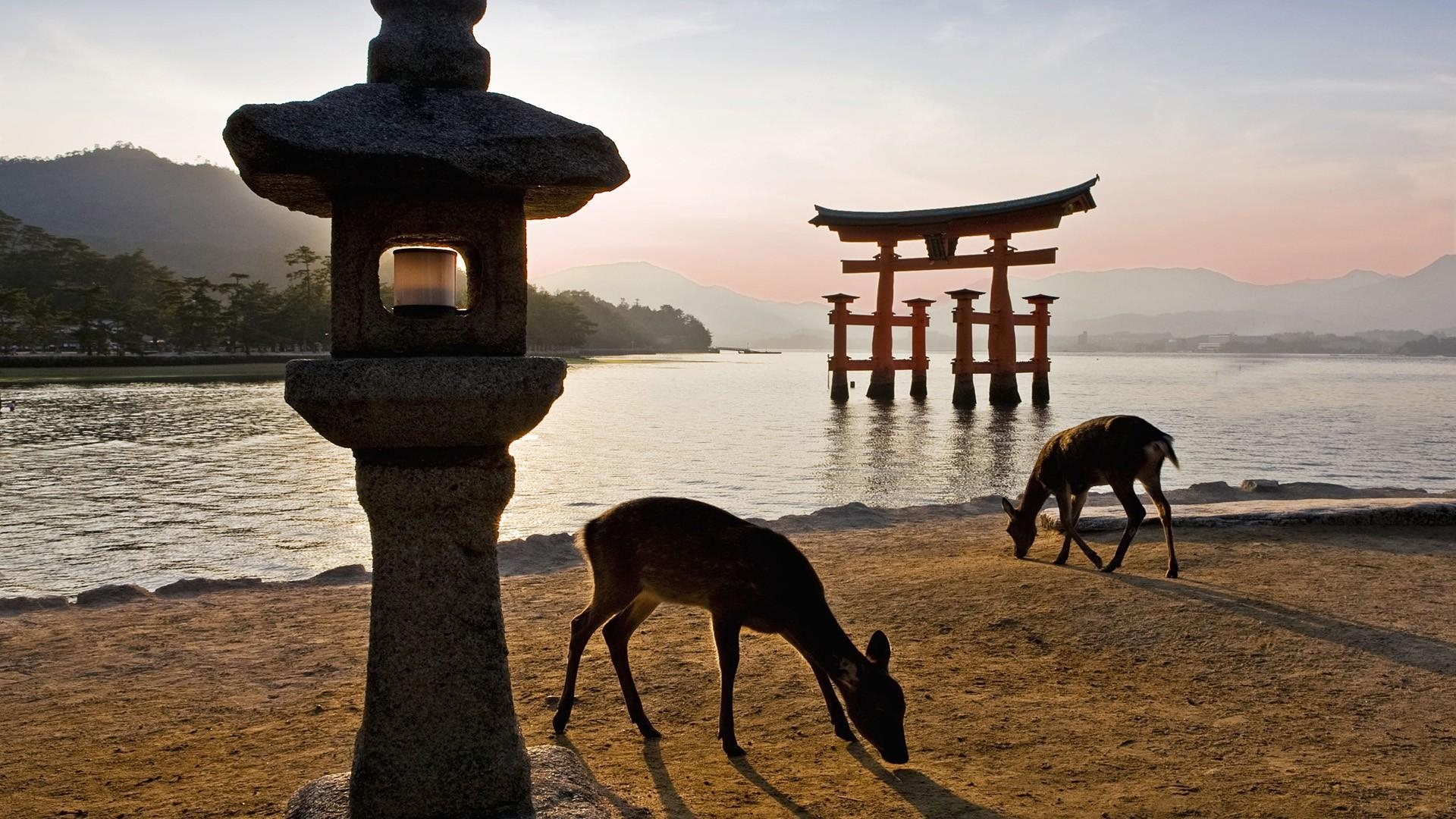 神社, 鳥居, 日本