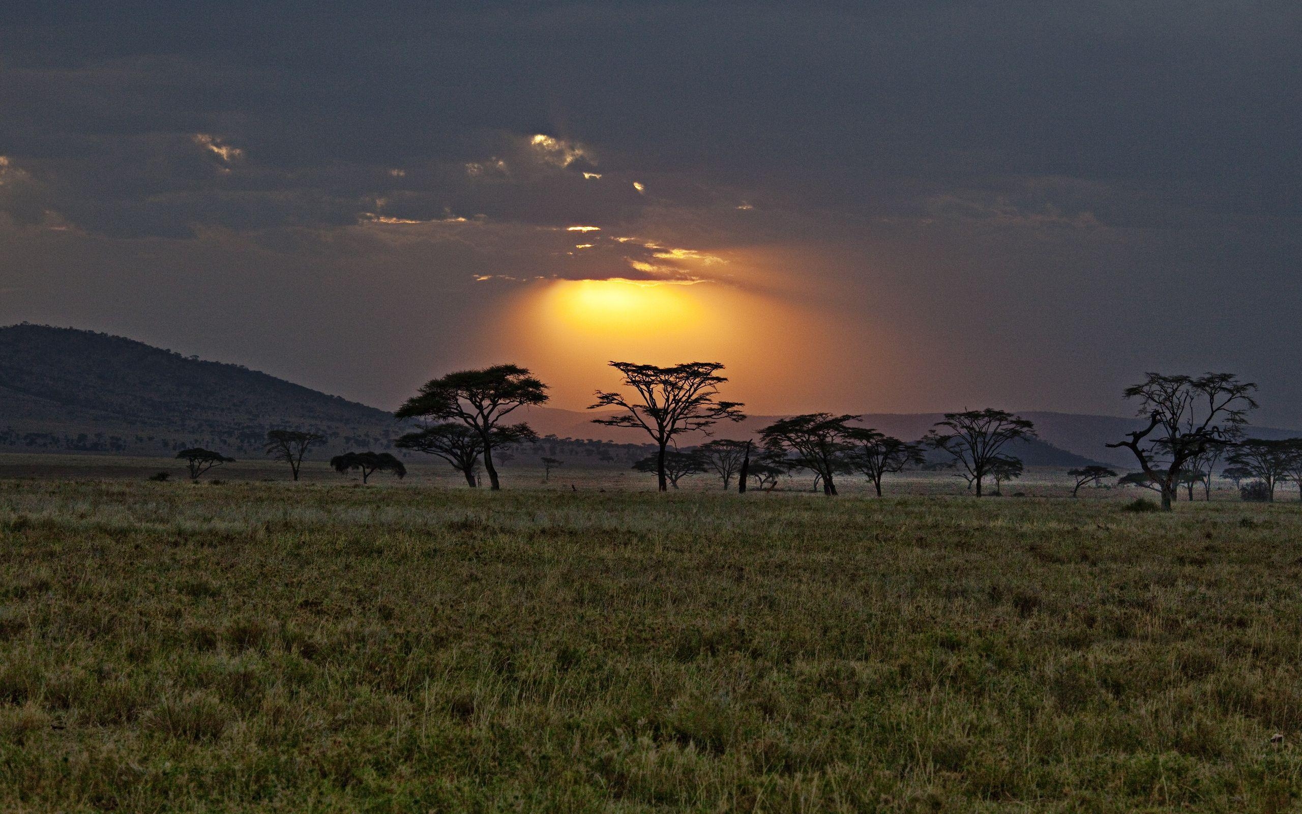 アフリカサバンナ, ケニア夕日, 壁紙, 写真