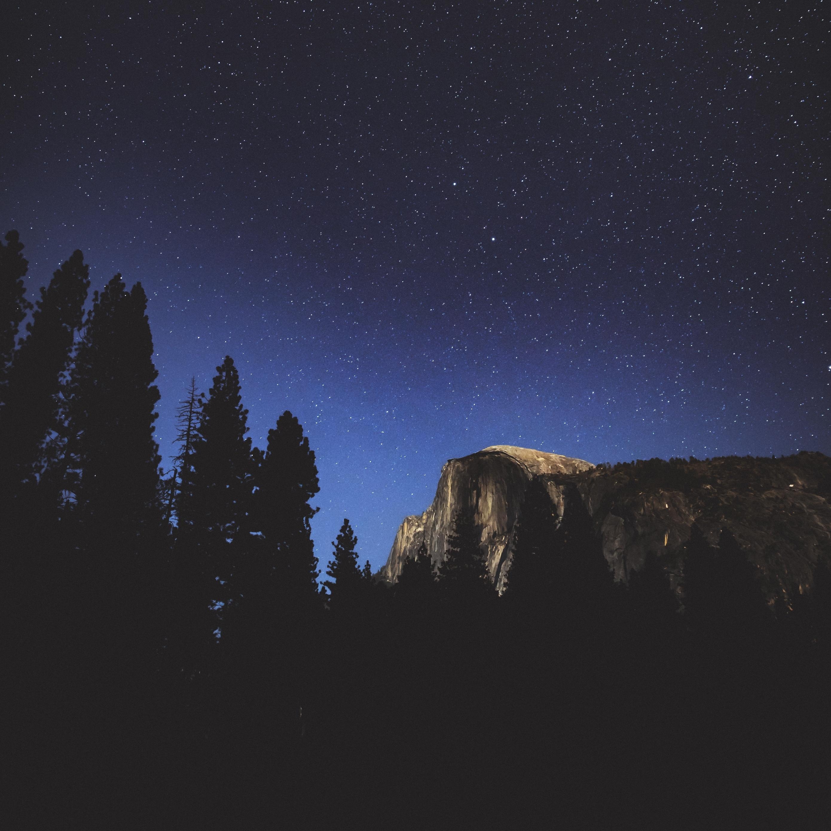 夜の木々、山、星、森の壁紙