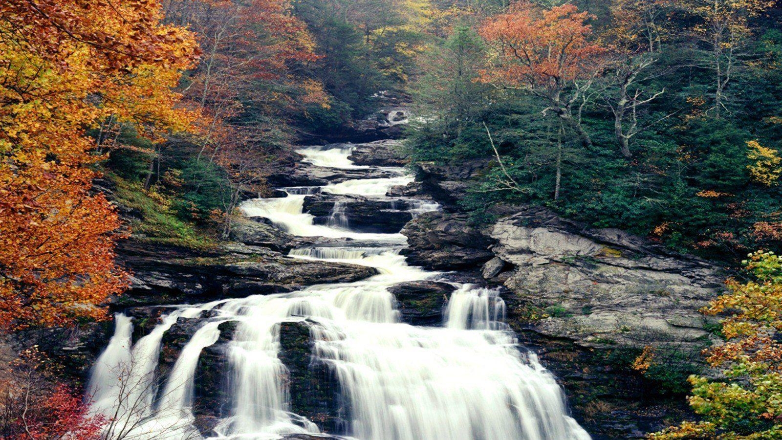 緑の水, 風景, 自然, 秋の色