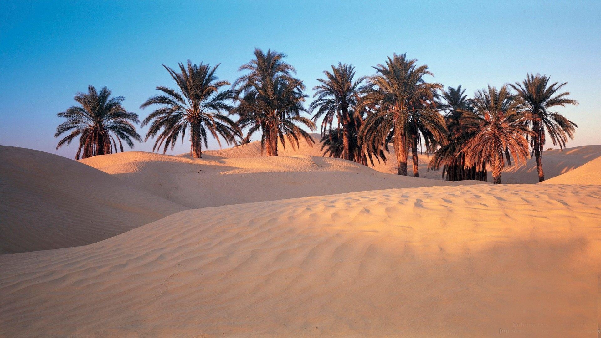 チュニジア背景, 旅行魅力, 彩り豊かな風景, 写真