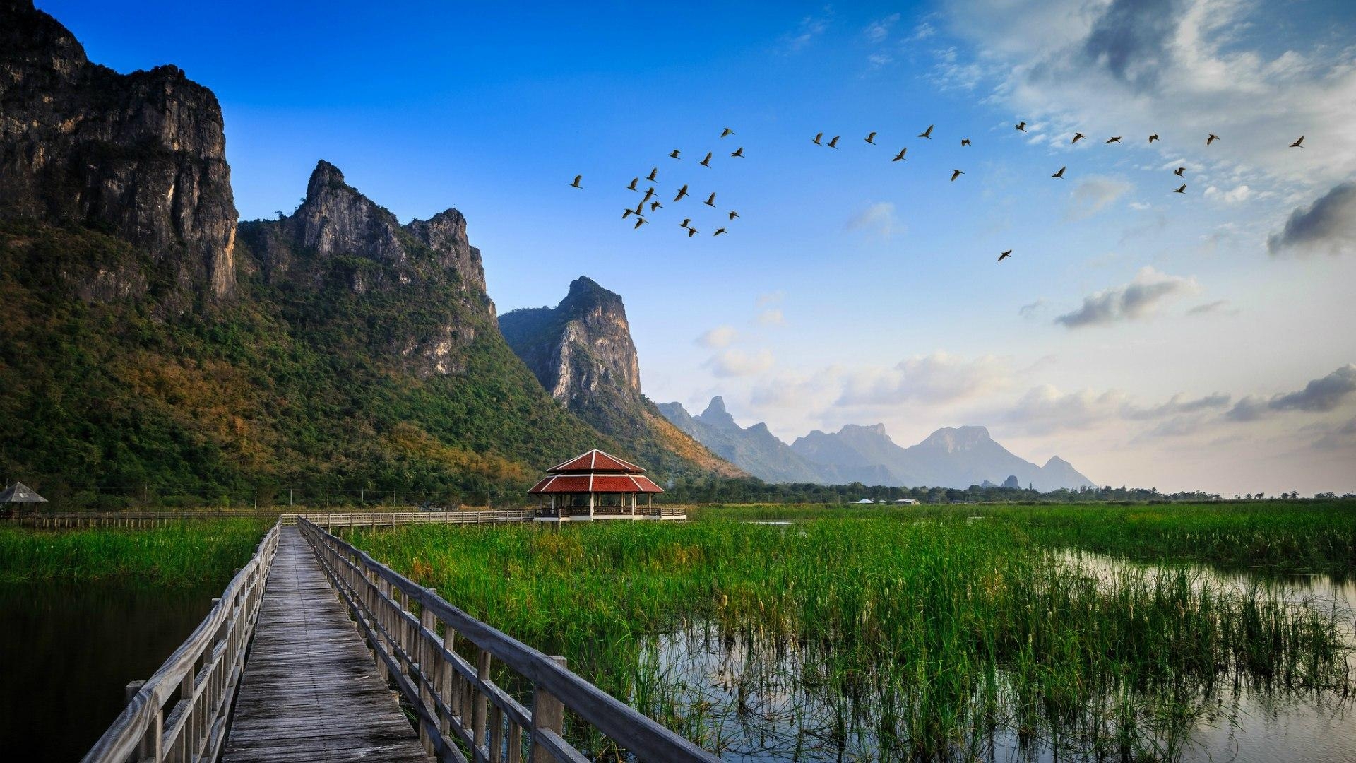 タイの湿地、壁紙、自然の風景