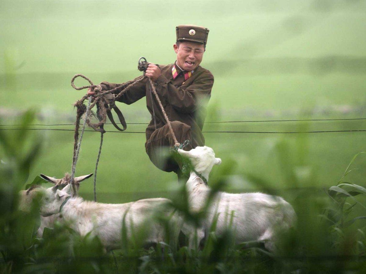 北朝鮮, 2013年, 写真, 軌跡