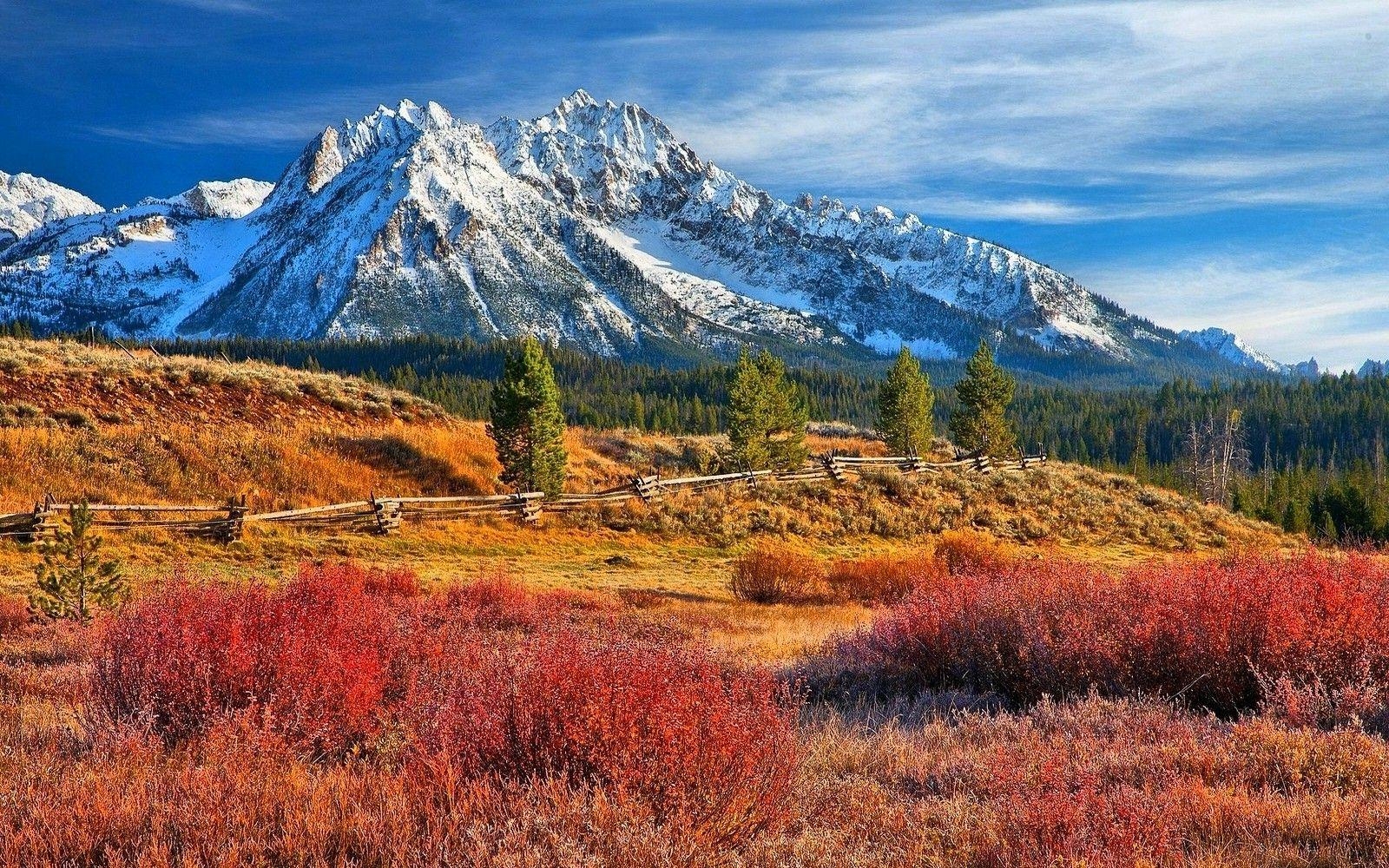 アイダホ旅行, 自然景観, 雪山, 森, 牧草地