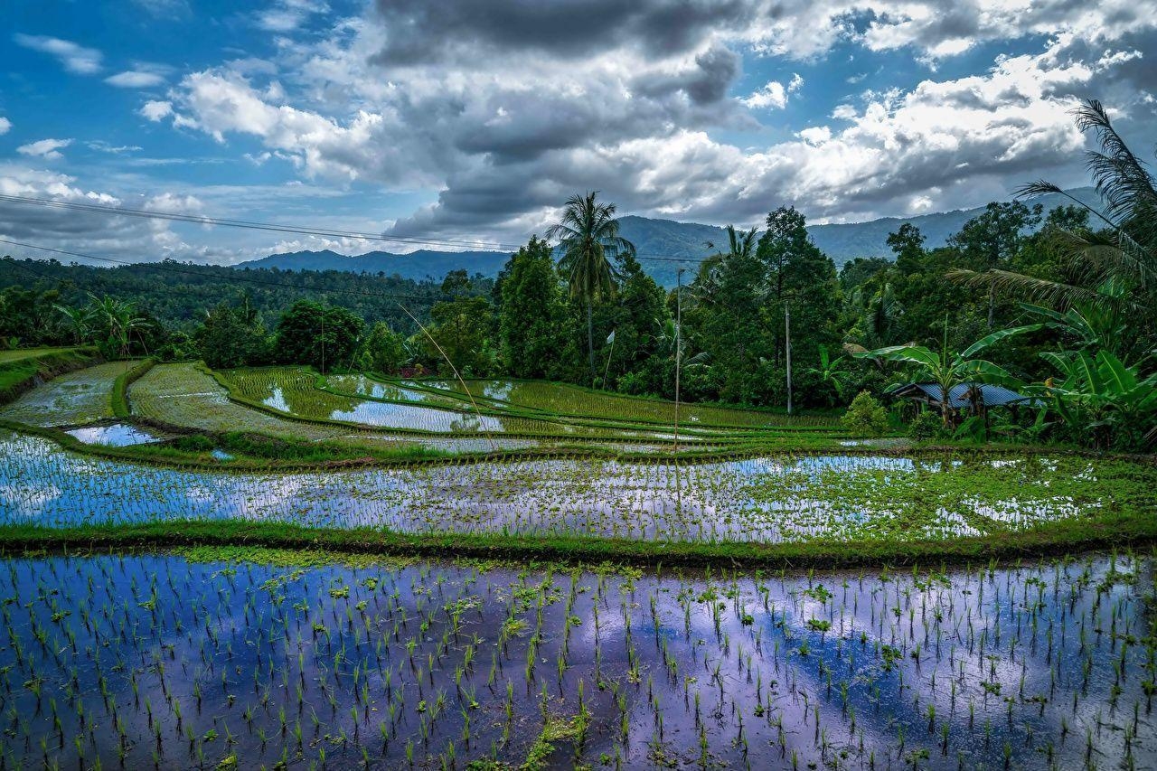 インドネシア, 壁紙, 画像ダウンロード, トラベル