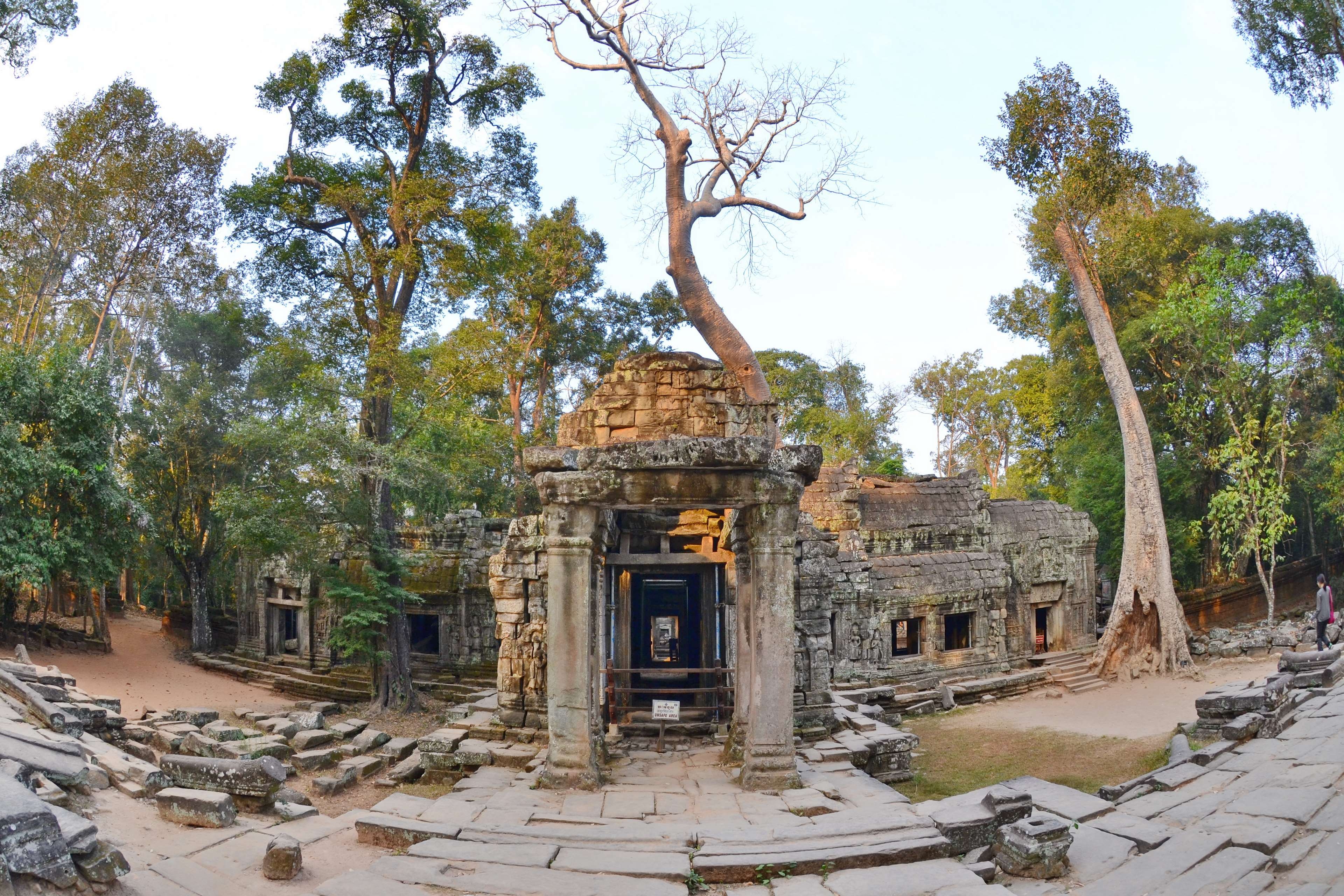 アンコール、カンボジア、クメール帝国、タ・プローム寺院