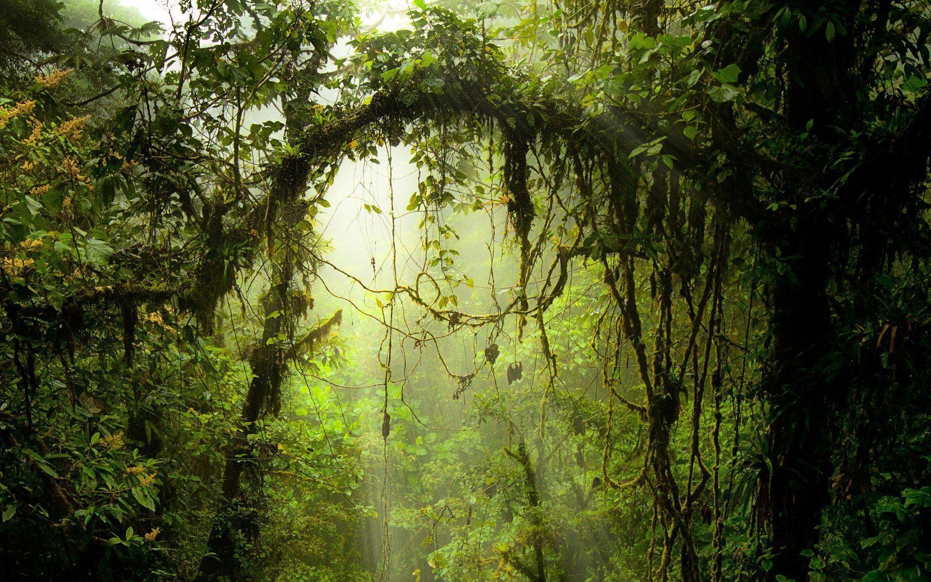 HDコスタリカ壁紙, 写真, 自然, 美しい風景