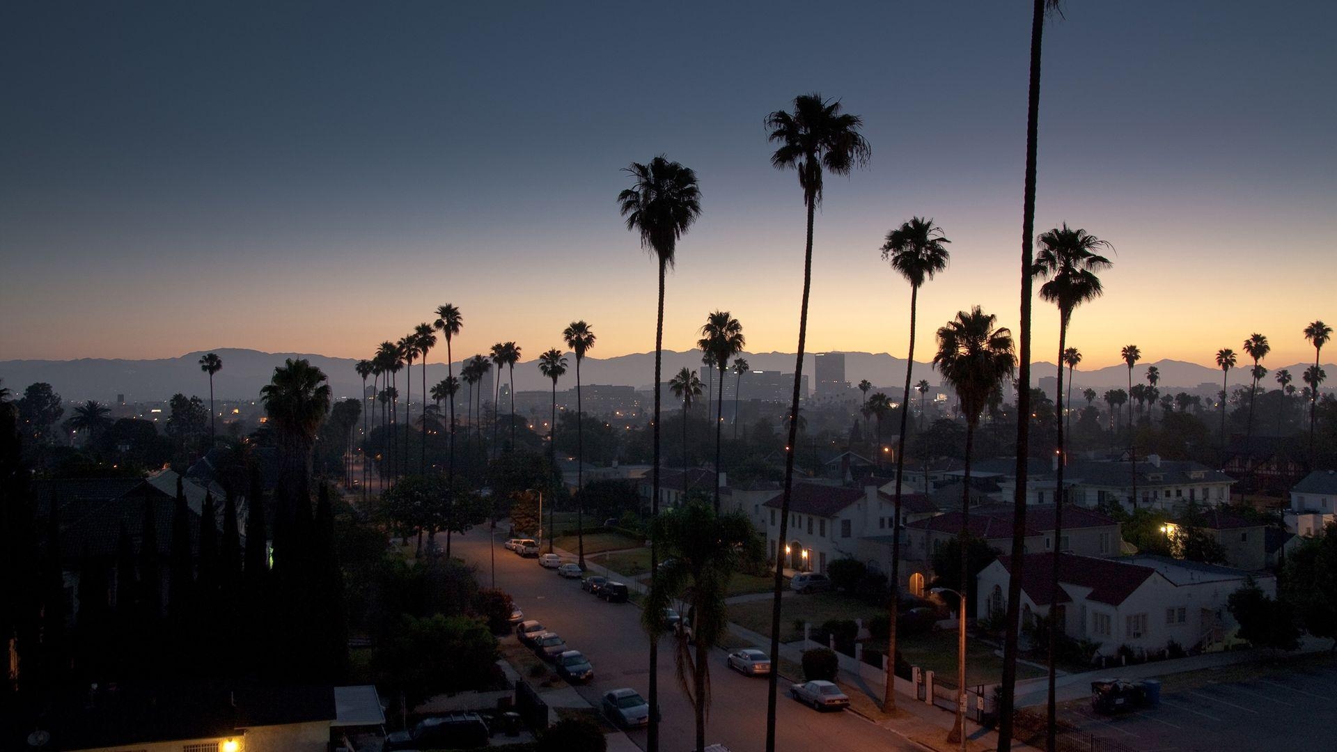 カリフォルニア, ナイトビュー, ヤシの木, トラベル