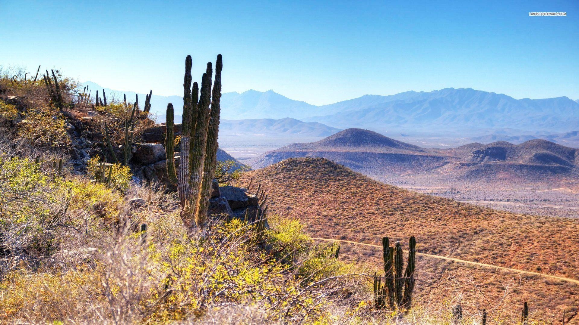 バハ・カリフォルニア, 砂漠, メキシコ, 旅行