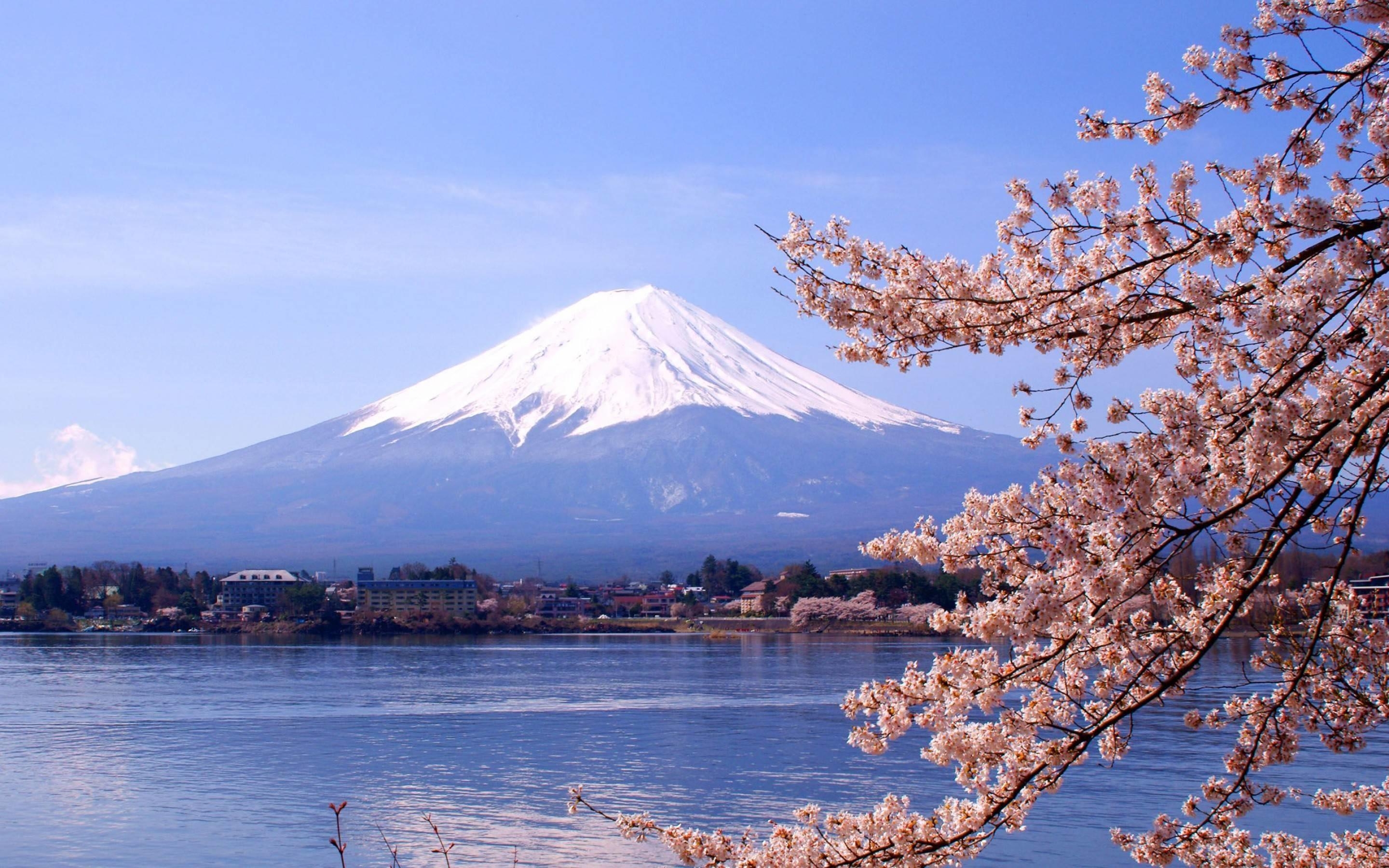 富士山, 壁紙, 風景, 旅行