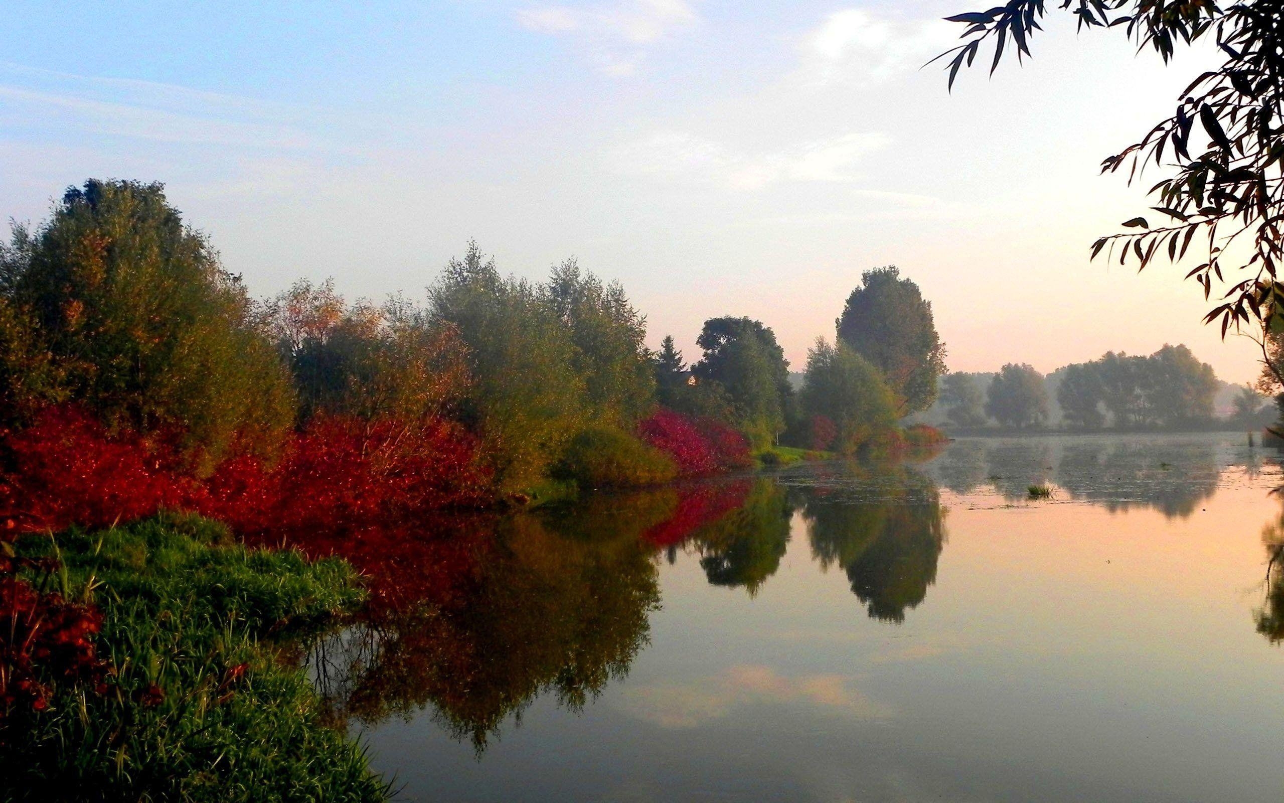 秋のポーランド壁紙, 紅葉, 風情, 旅人の写真