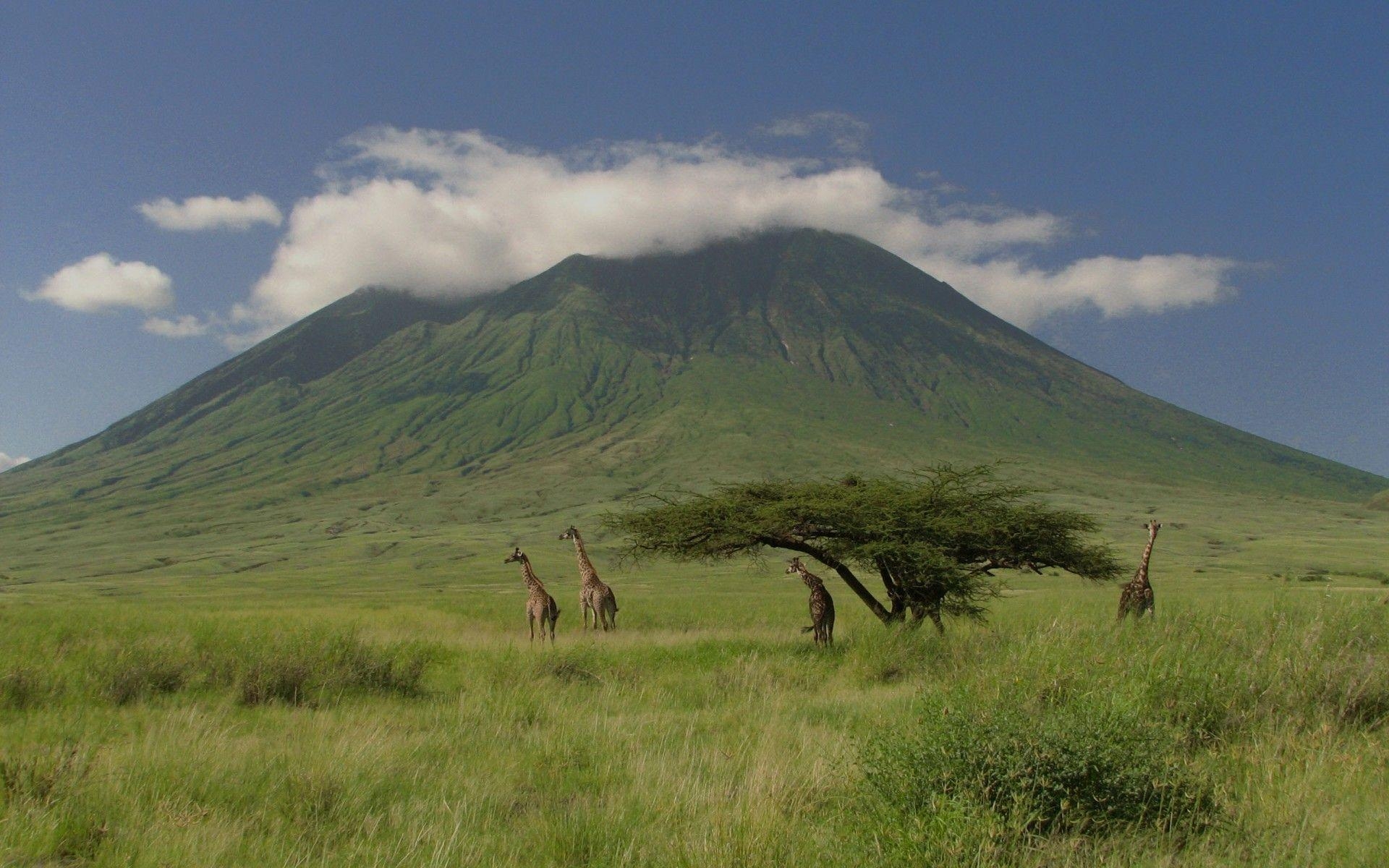 オル・ドインヨ・レンガイ, タンザニア風景, 火山壁紙, 大自然の驚異