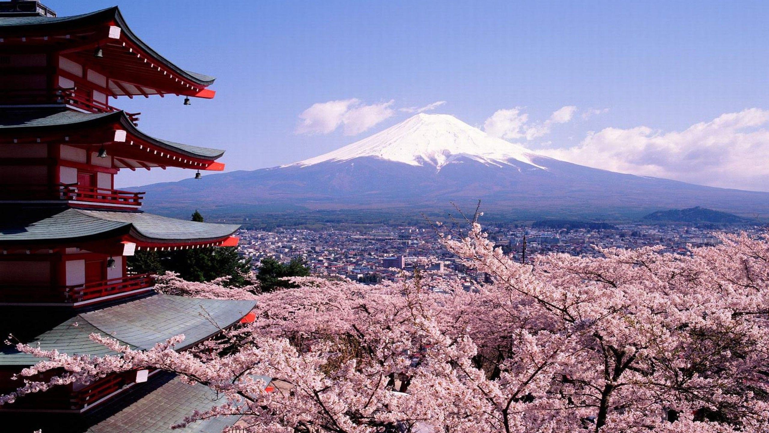 富士山, 日本, 無料壁紙, 山岳背景