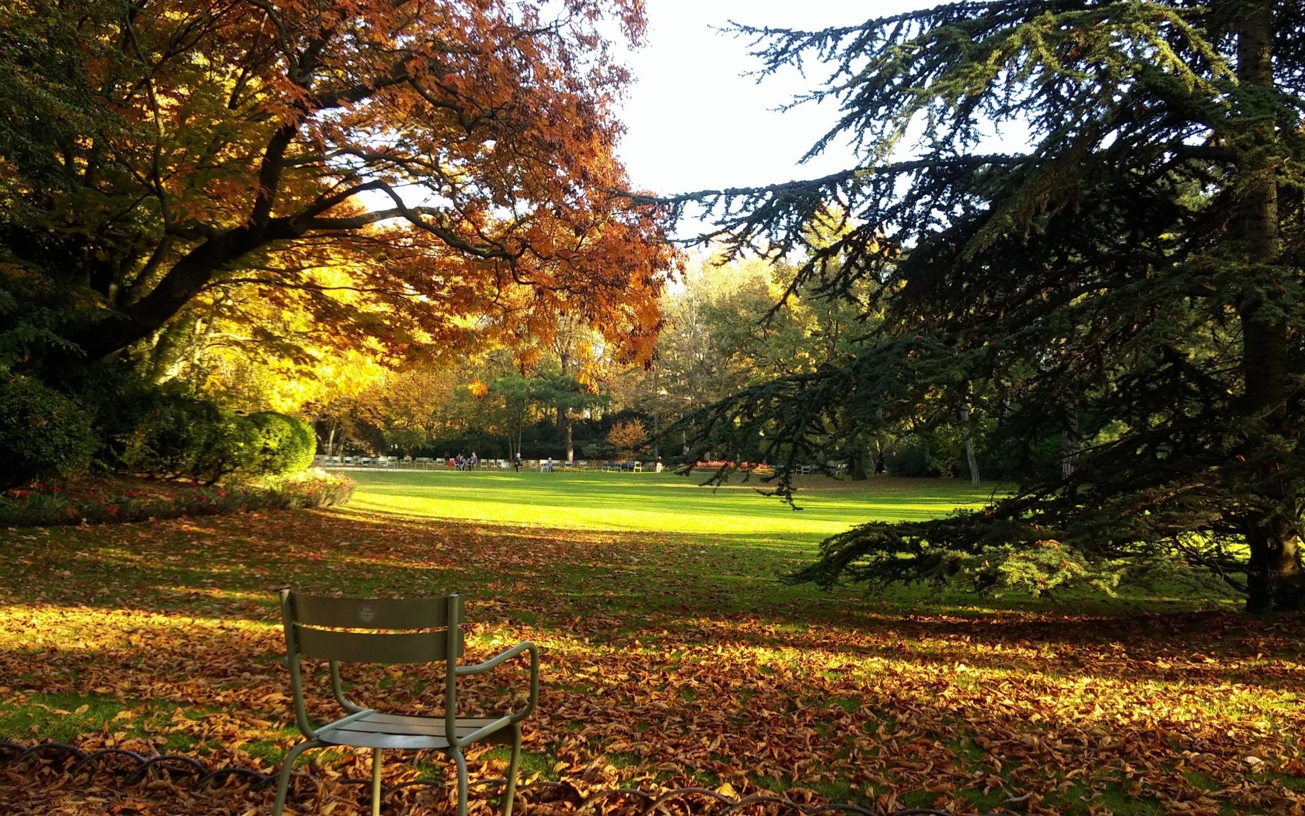 パリ, ルクセンブルク公園, 壁紙, フランス