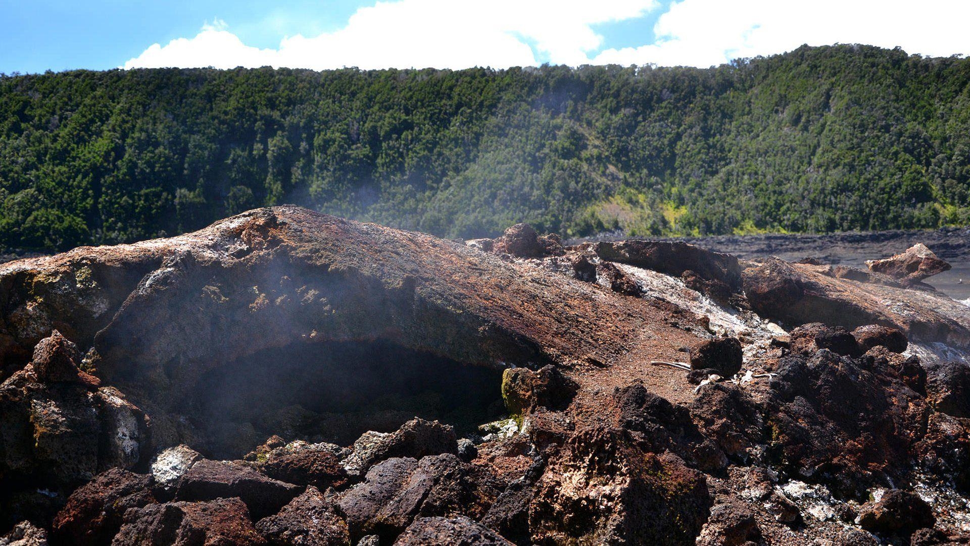 ハワイ火山国立公園, 基金, 支援, 保存