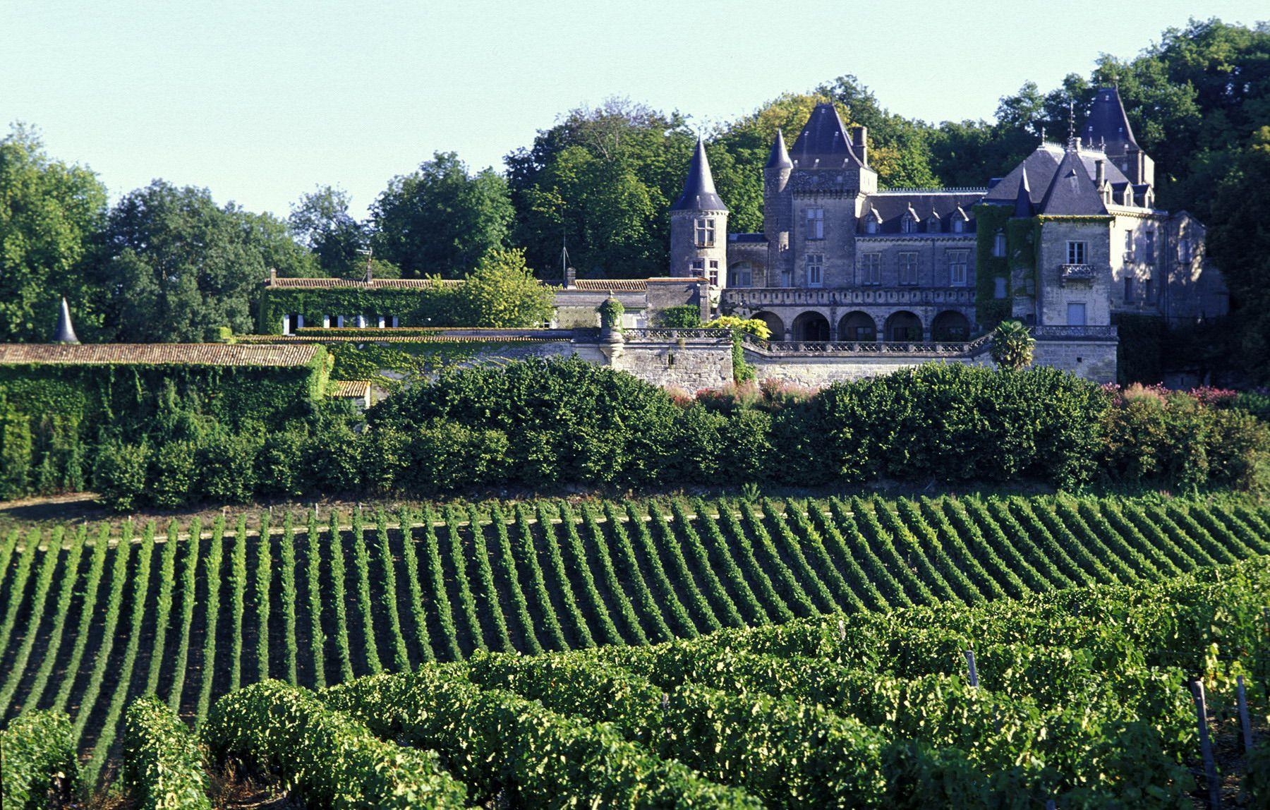 ボルドーのブドウ園, フランス, 壁紙, 旅行画像