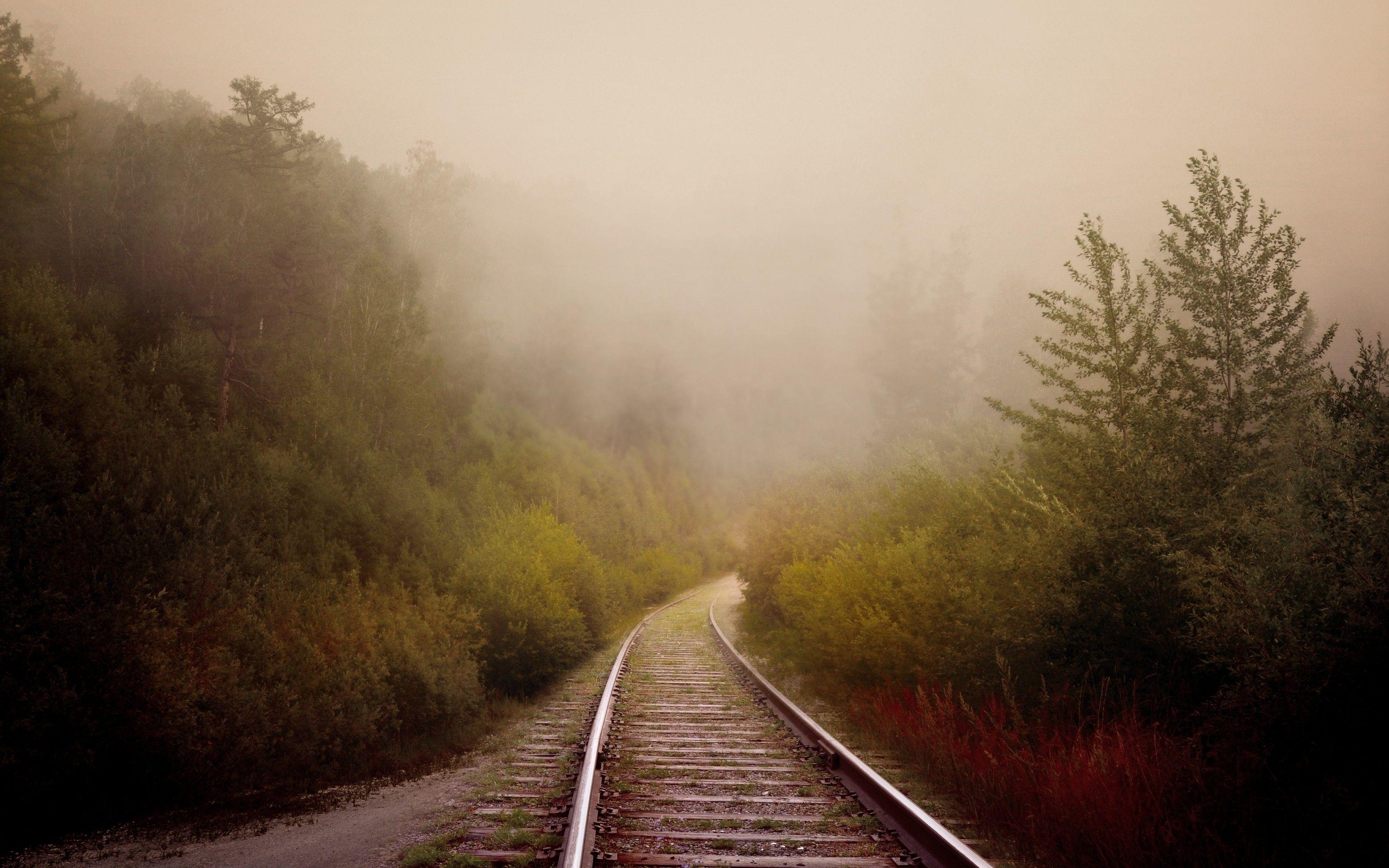 霧, 鉄道, 木, 壁紙ダウンロード