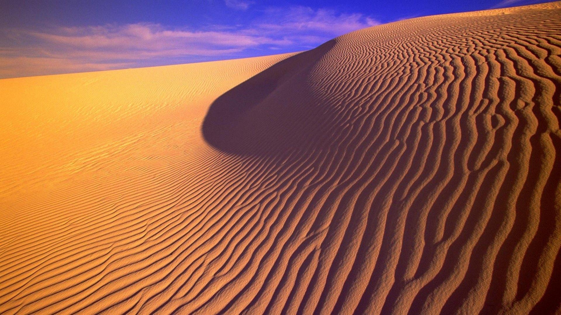 砂丘、夕方の光、ニューメキシコ、風景