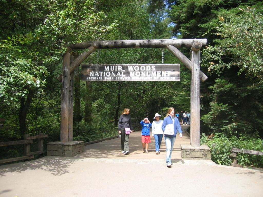 ミュアウッズ国定公園, バレー, 新しい冒険, カリフォルニア