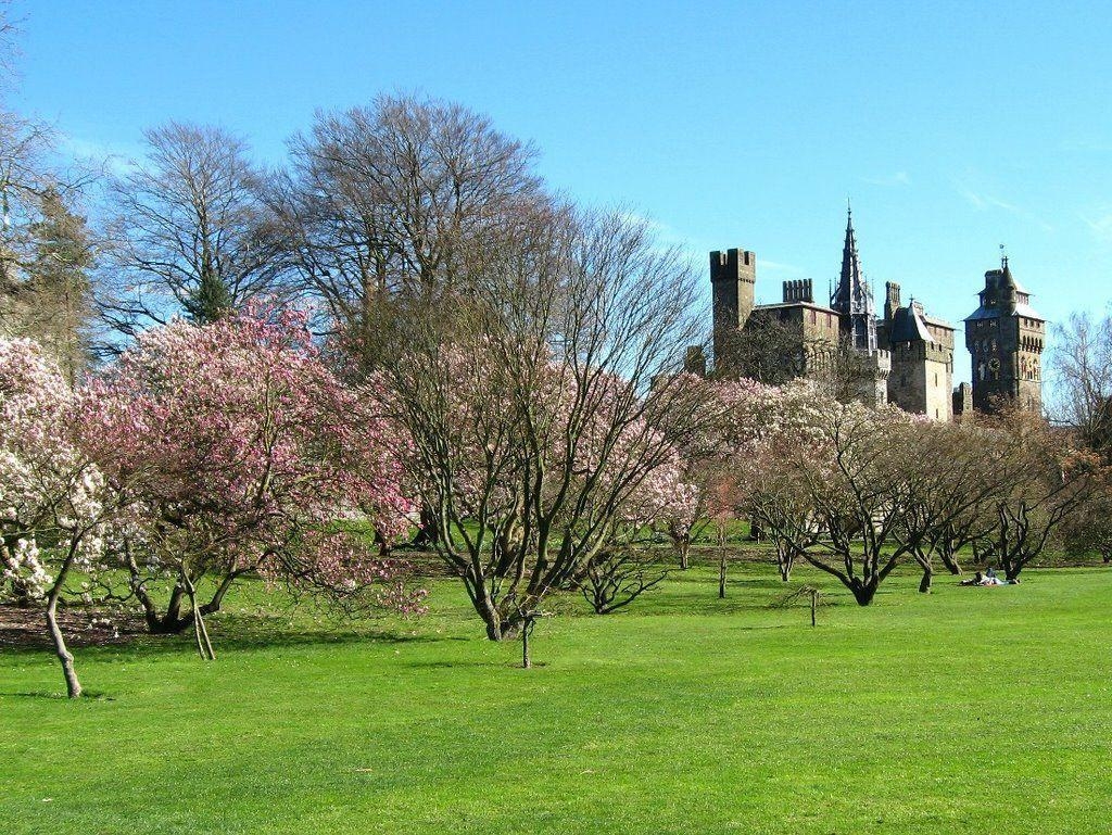 カーディフ城, 絶景, 壁紙, イギリス