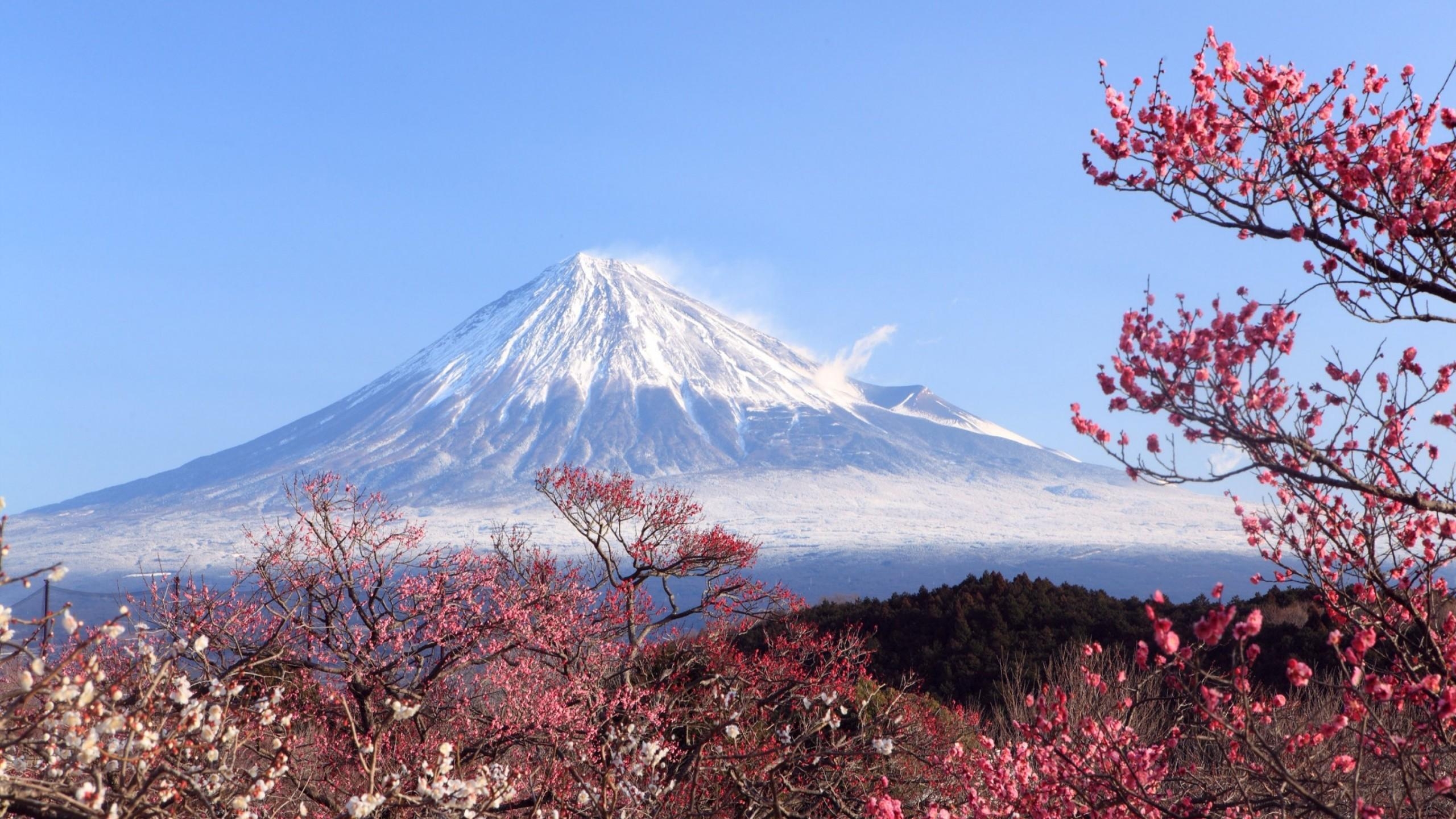 富士山, HD壁紙, 17x1440, 絶景
