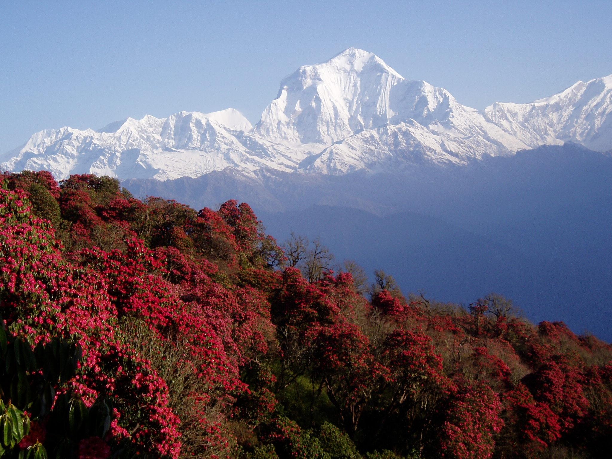 ネパール, デスク背景, 1536px, 旅行壁紙