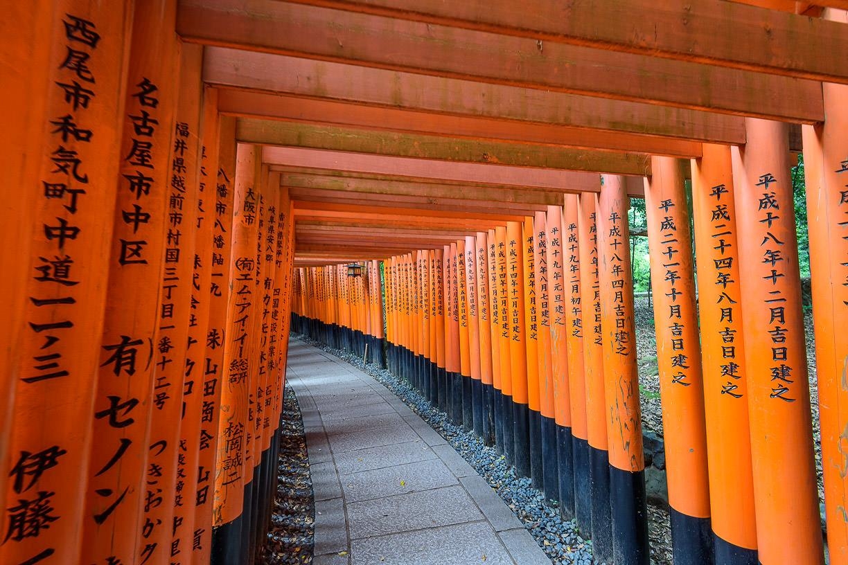 伏見稲荷大社, 写真スポット, 京都, 旅行