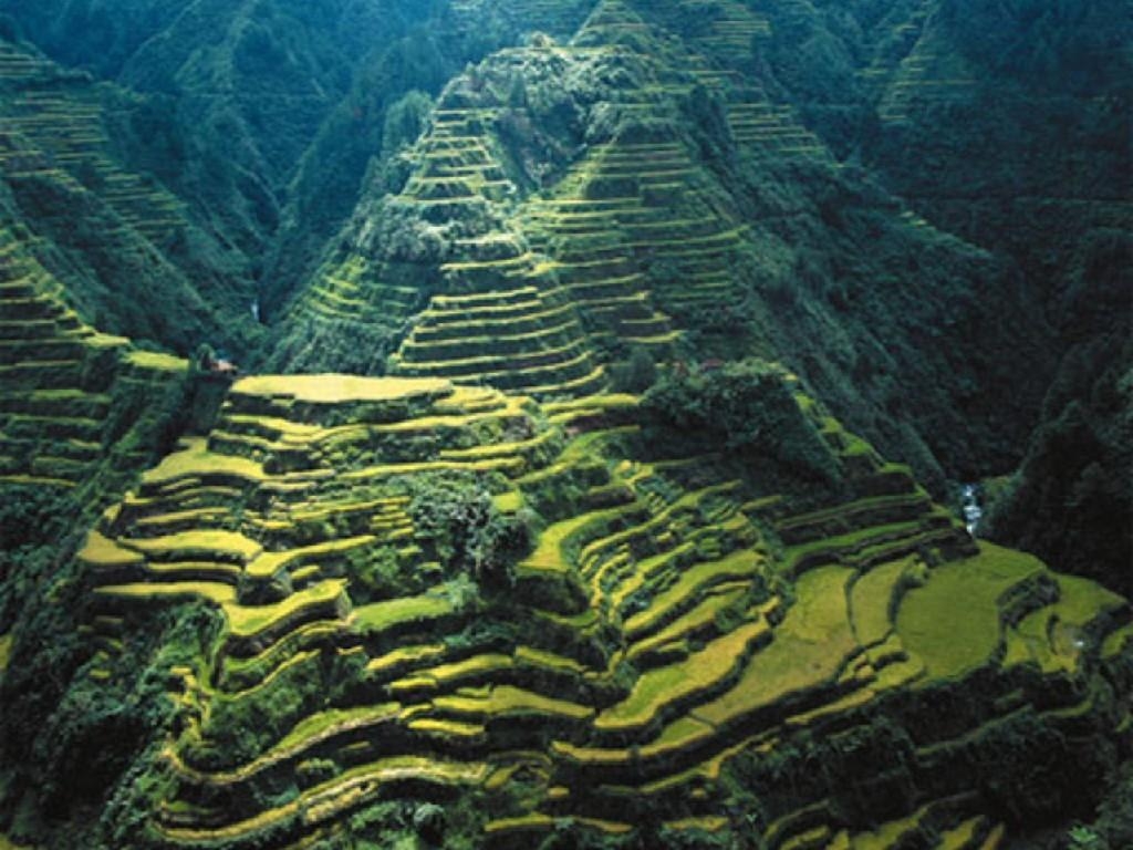 天国への階段, バナウエ棚田, 緑の山々, 絶景