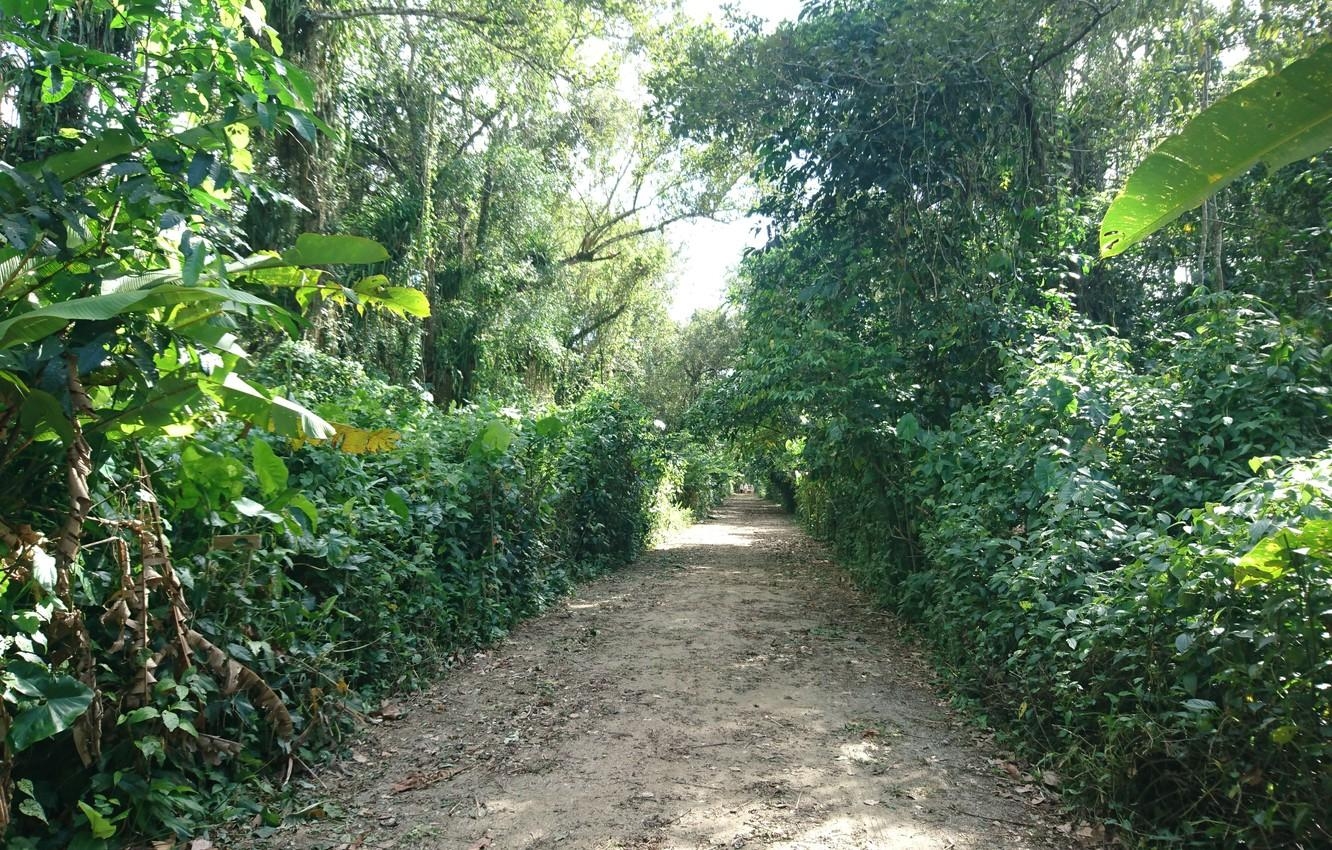 スリナム, パラマリボ, ペーパーポット自然公園, 自然風景