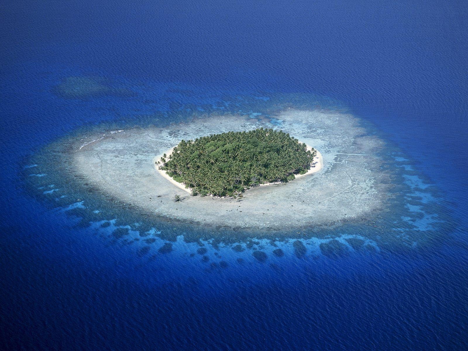 サンゴ礁, ミクロネシア, 美しい海, 壁紙