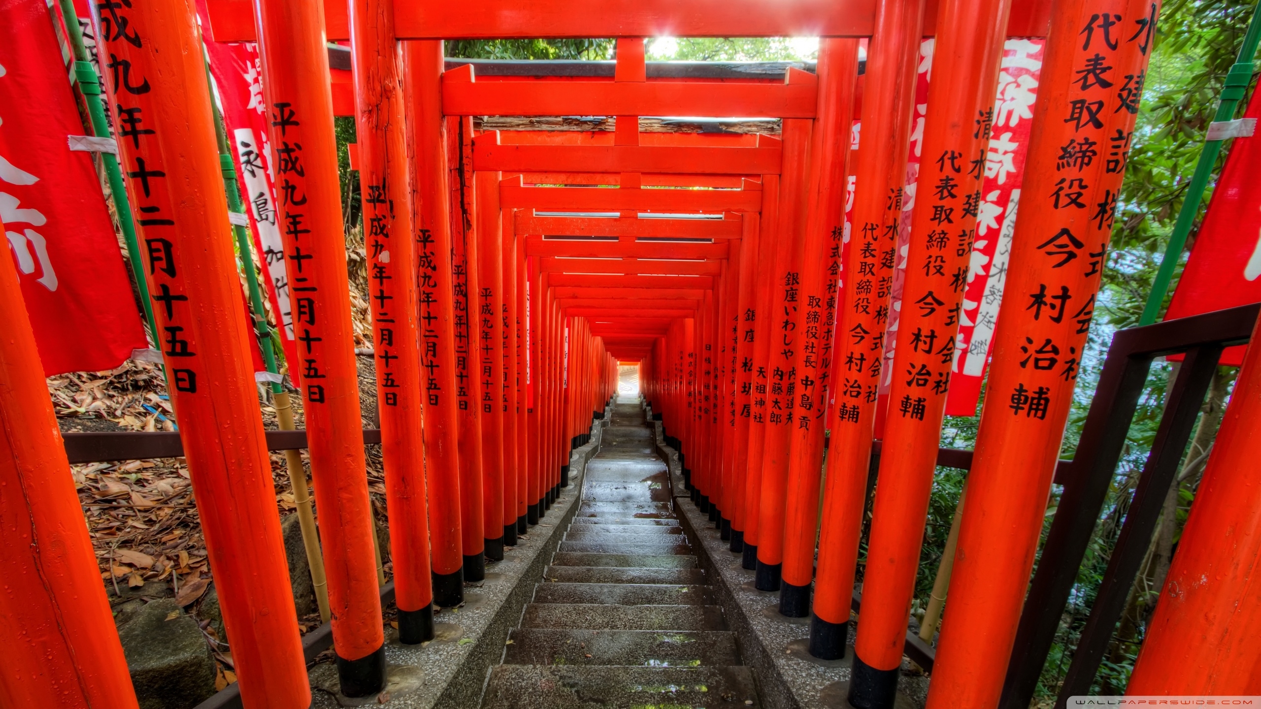 鳥居, 4K, HDデスクトップ壁紙